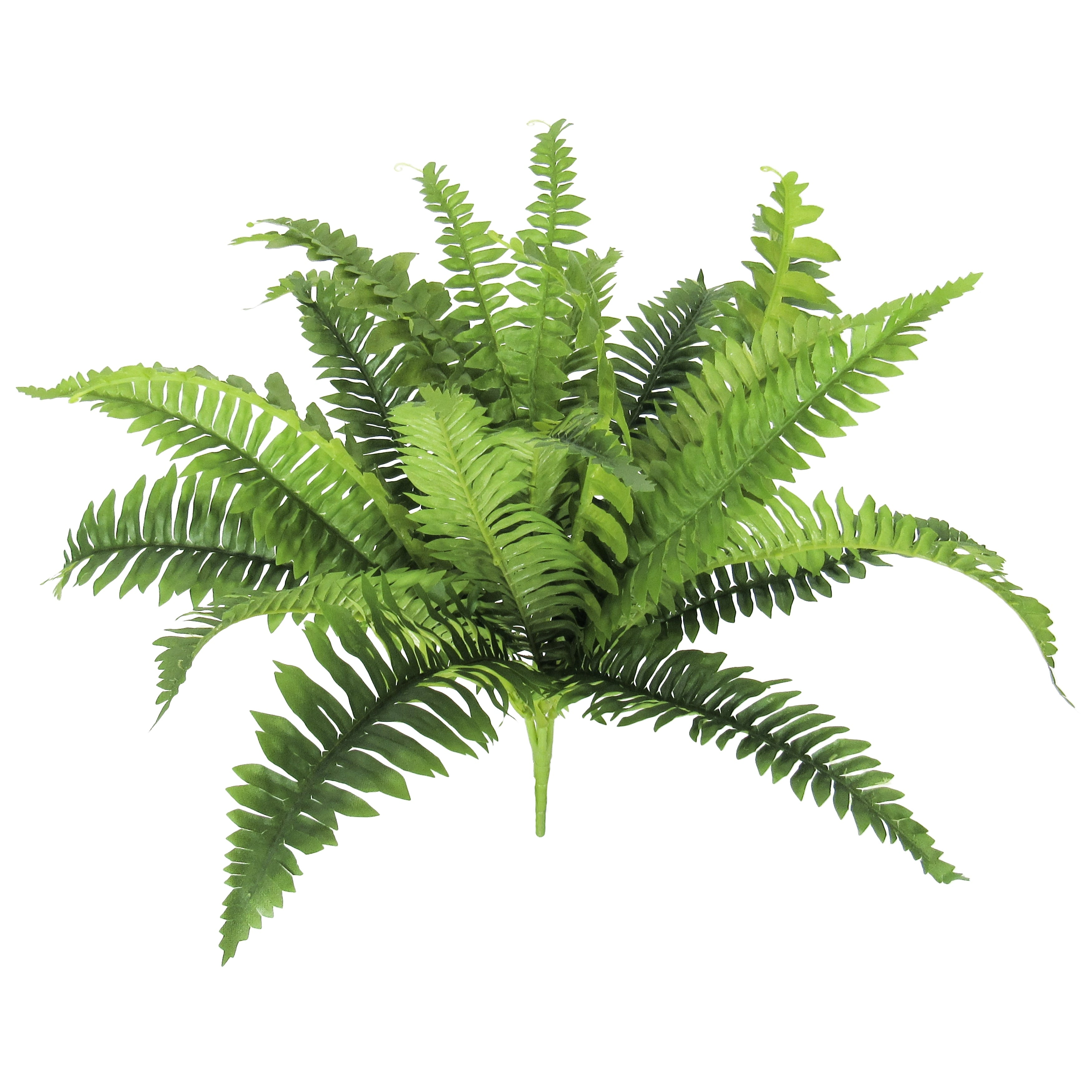 Artificial Boston Fern Leaf Stem Plant Greenery Foliage Bush 14in - 14 L x 22 W x 22 DP