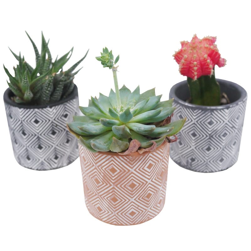 Set of 3 Modern 3 Ceramic Flower Plant Planters, Ceramic Pot Planter Indoor Ceramic, Decorative Planter