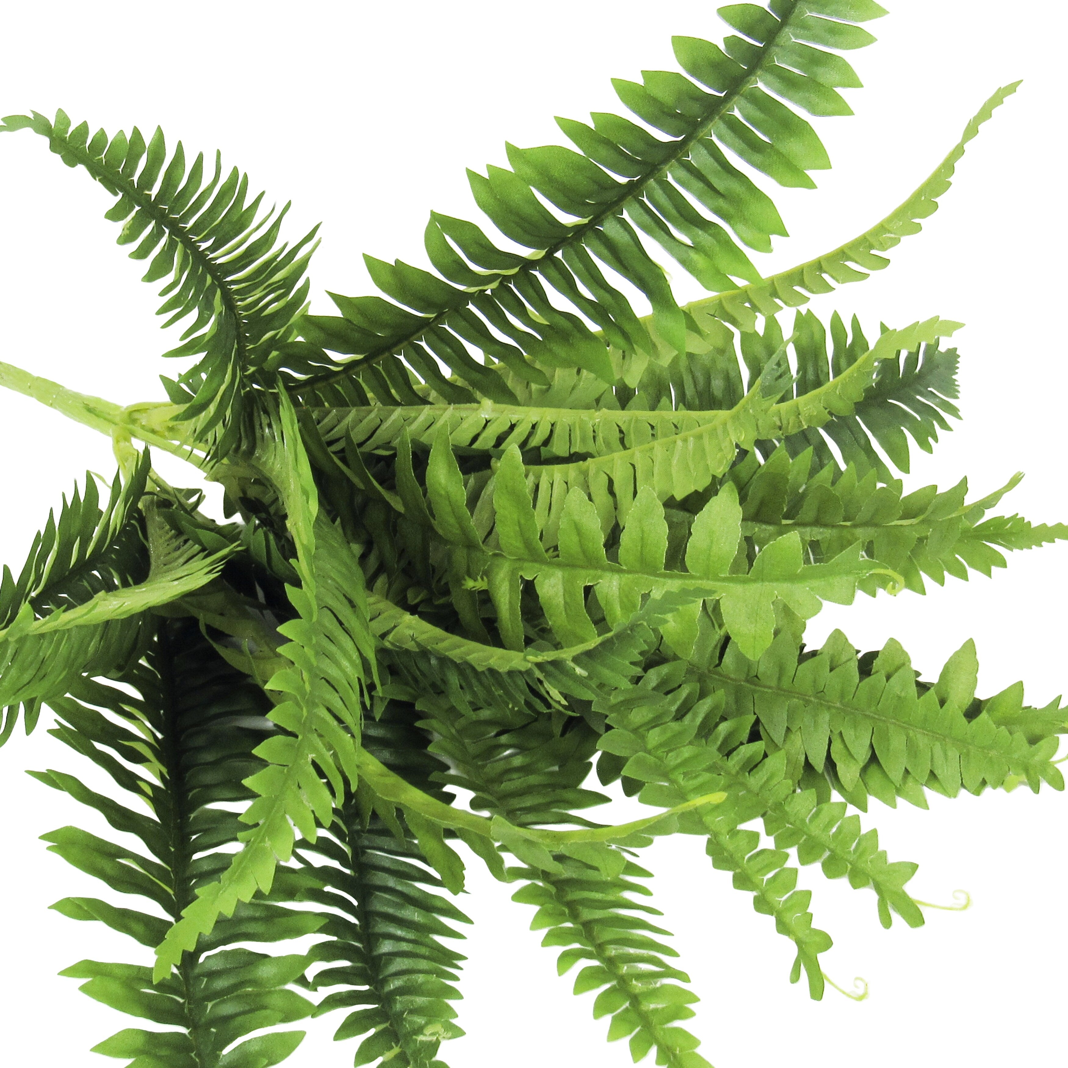 Artificial Boston Fern Leaf Stem Plant Greenery Foliage Bush 14in - 14 L x 22 W x 22 DP