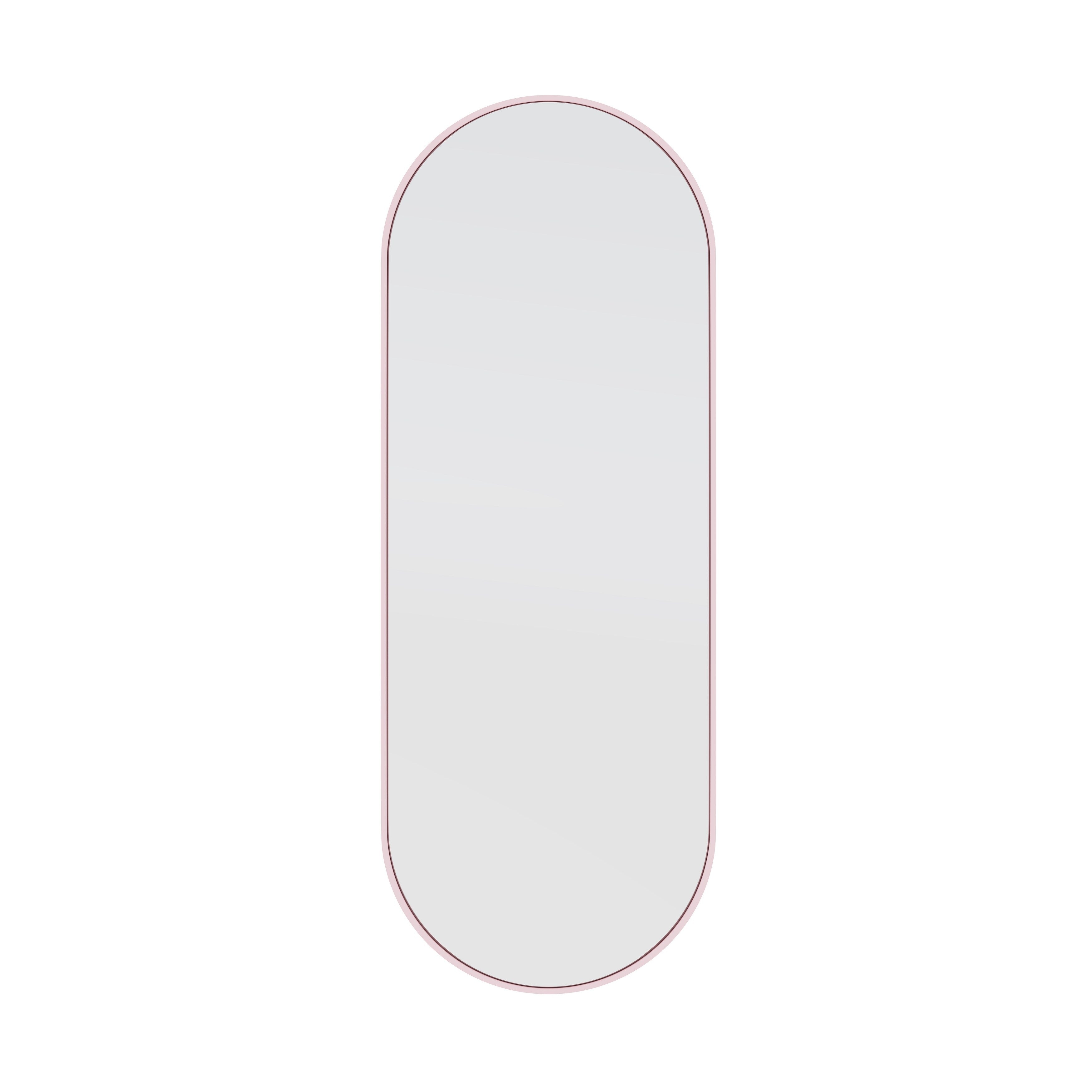 Glass Warehouse 60 in. H x 22 in. W Pill Shape Stainless Steel Framed Mirror