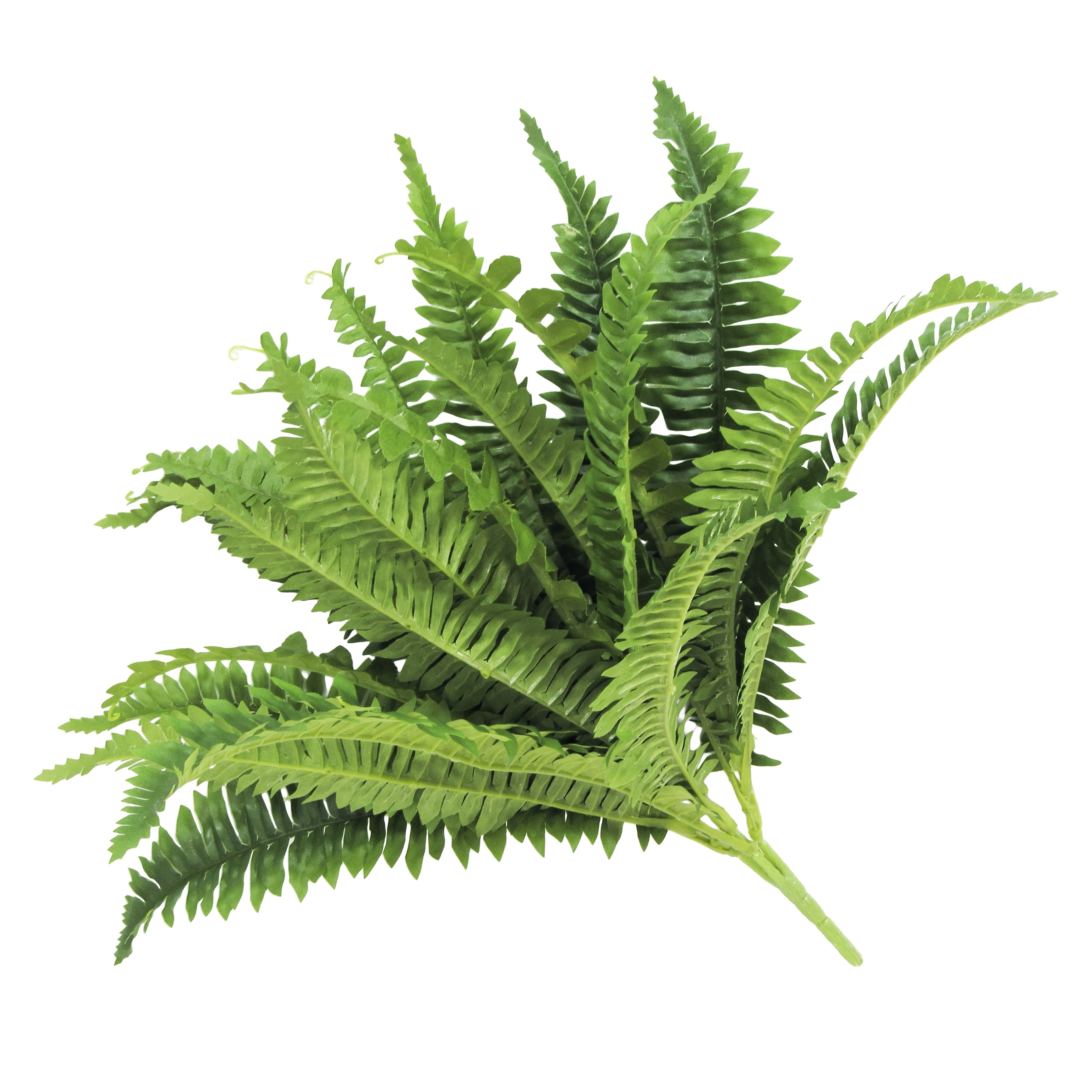 Artificial Boston Fern Leaf Stem Plant Greenery Foliage Bush 14in - 14 L x 22 W x 22 DP