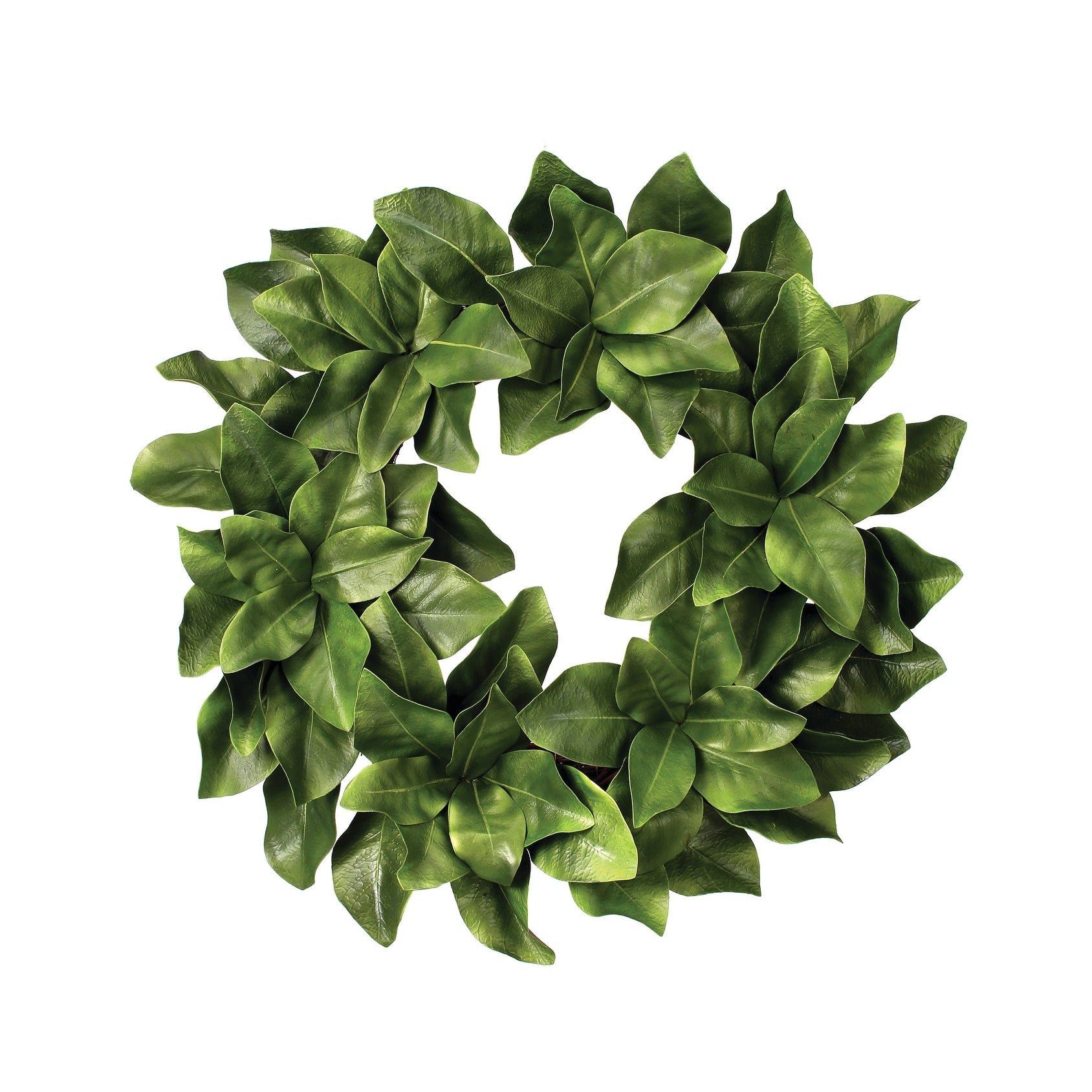 Eva Magnolia Leaf Wreath 26