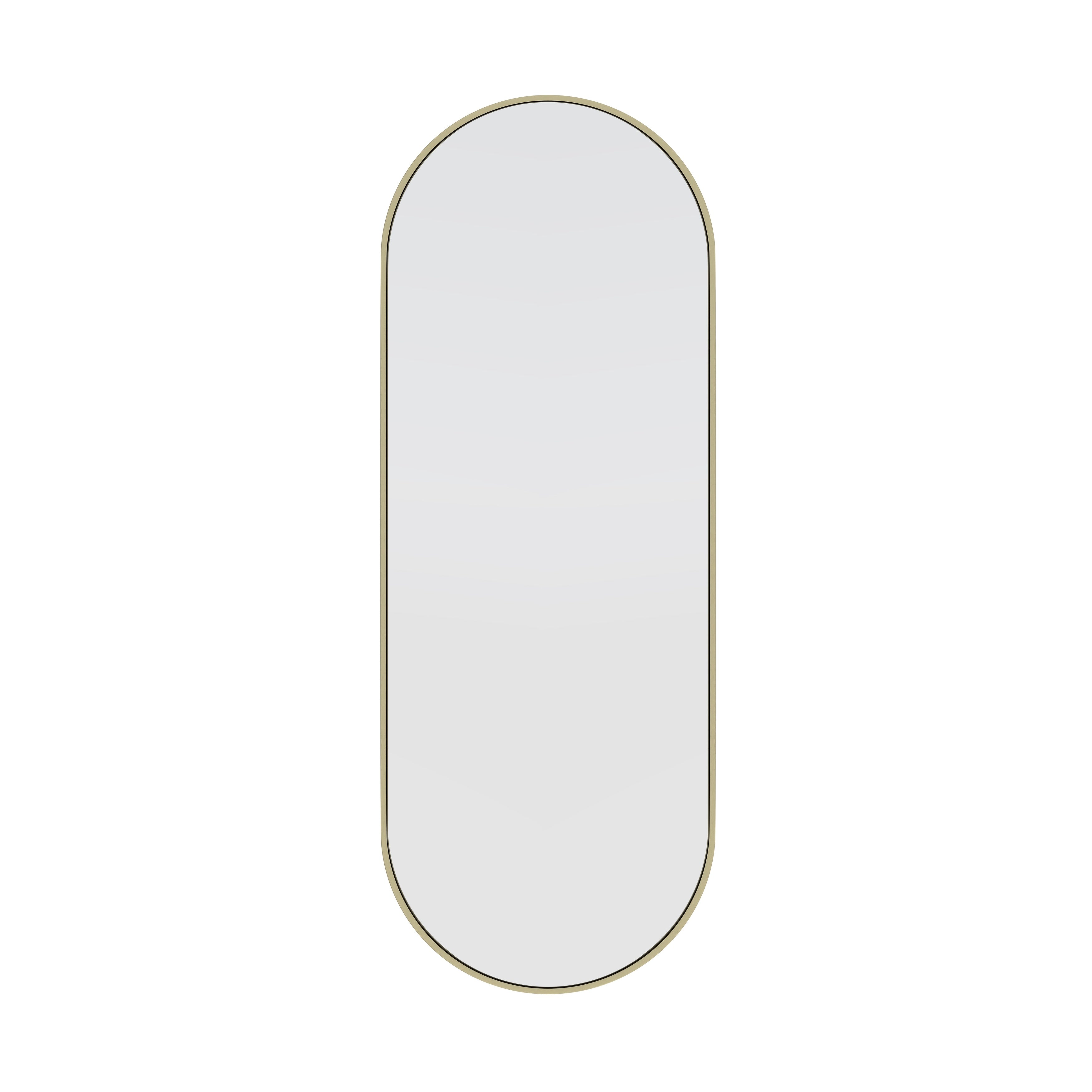 Glass Warehouse 60 in. H x 22 in. W Pill Shape Stainless Steel Framed Mirror