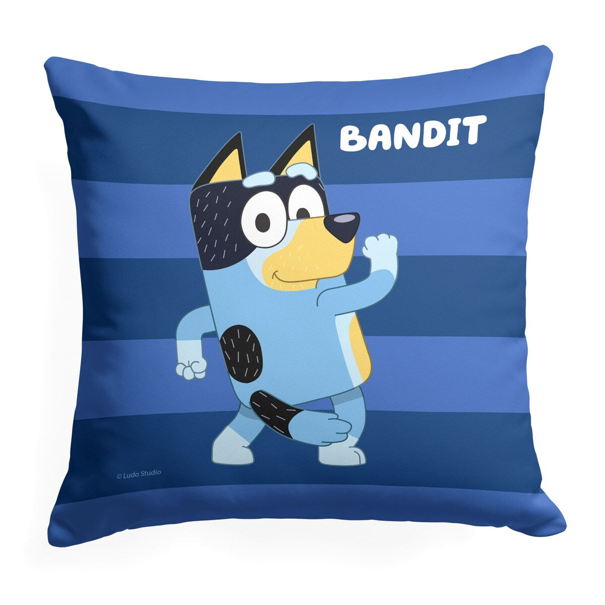 Bluey Roll Call Bandit Printed Throw Pillow - Blue