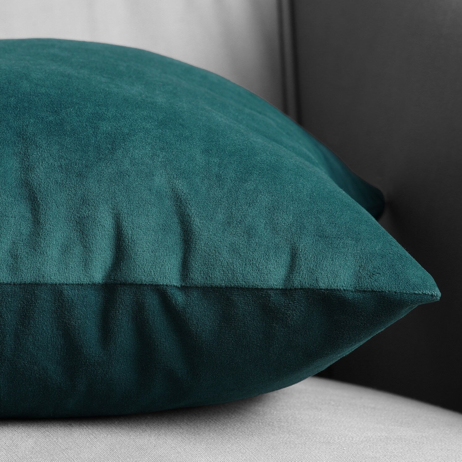 Exclusive Fabrics Signature Velvet Cushion Cover (Set of 2)