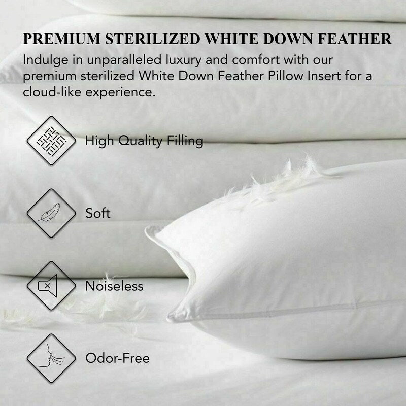 A1HC Pack of 1 Decorative Throw Pillow Insert, Down Feather Filled, White