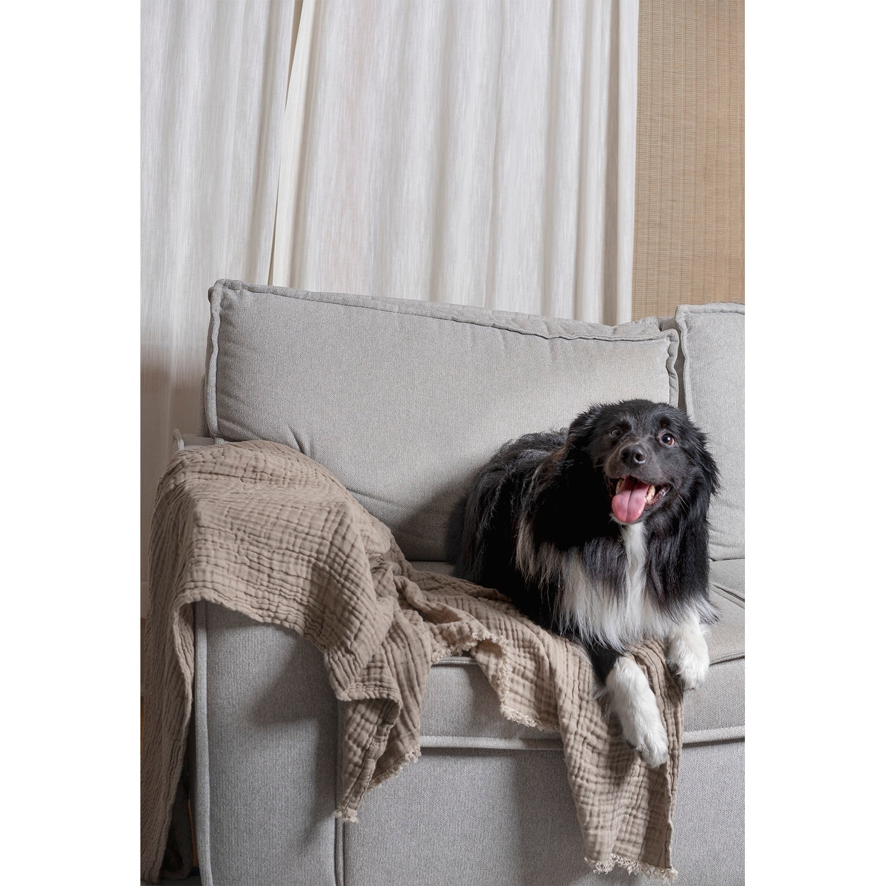 Truly Soft Two-Toned Organic Throw Blanket