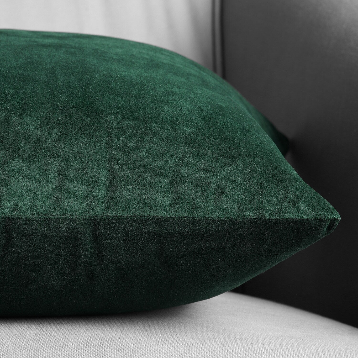 Exclusive Fabrics Signature Velvet Cushion Cover (Set of 2)