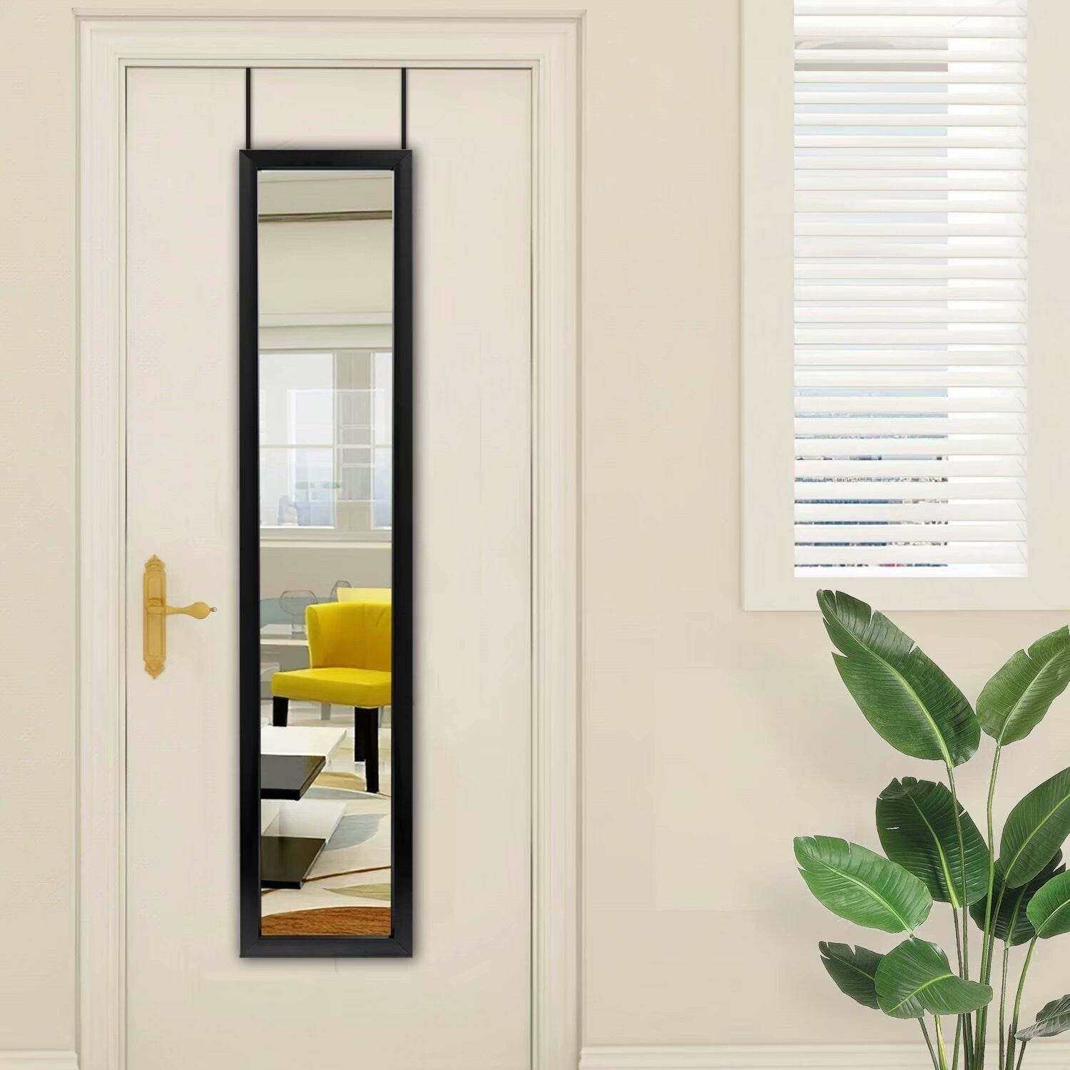 Modern Full-length Rectangular Wall-Mounted Hanging Door Mirror