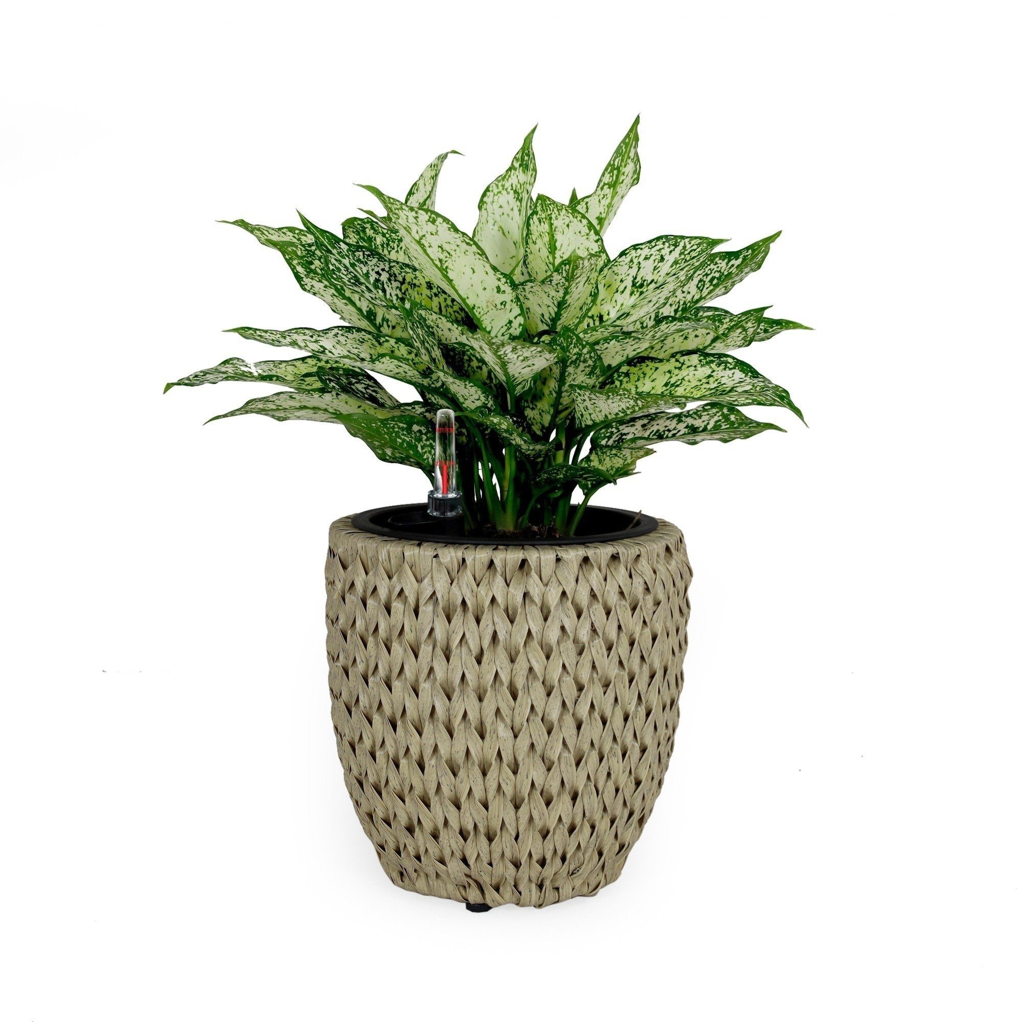 DTY Signature Self-watering Wicker Planter - Garden Decoration Pot