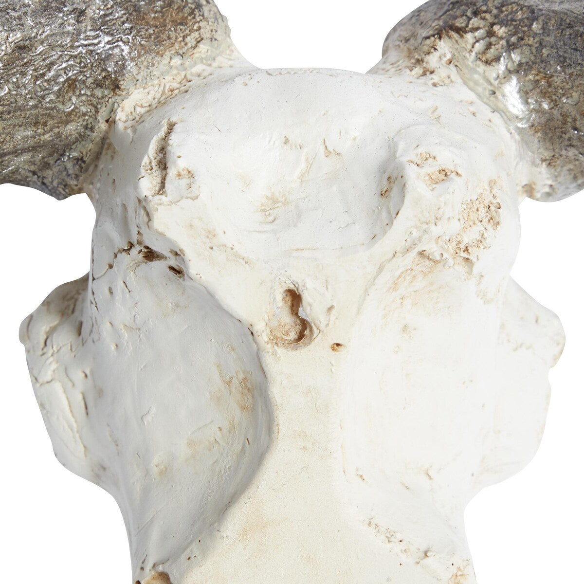 Polystone Cow Skull Home Wall Decor - White - Roche River Decor