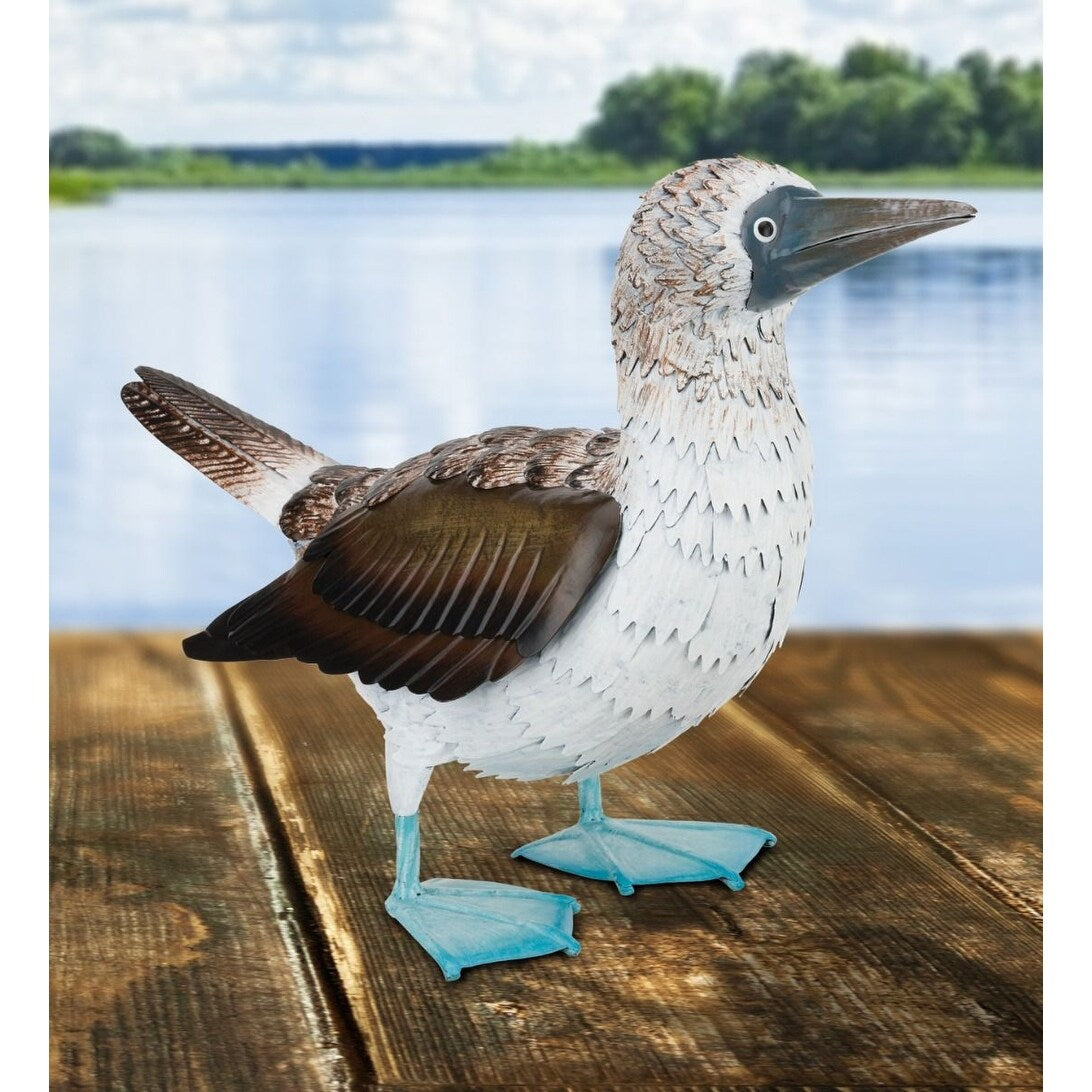 Blue Footed Booby Decor