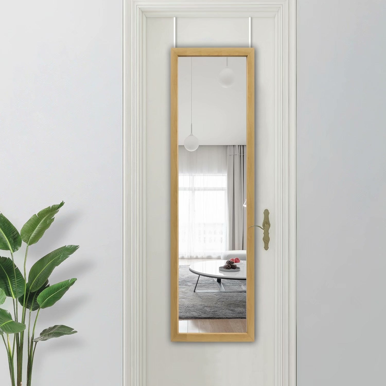 Modern Full-length Rectangular Wall-Mounted Hanging Door Mirror