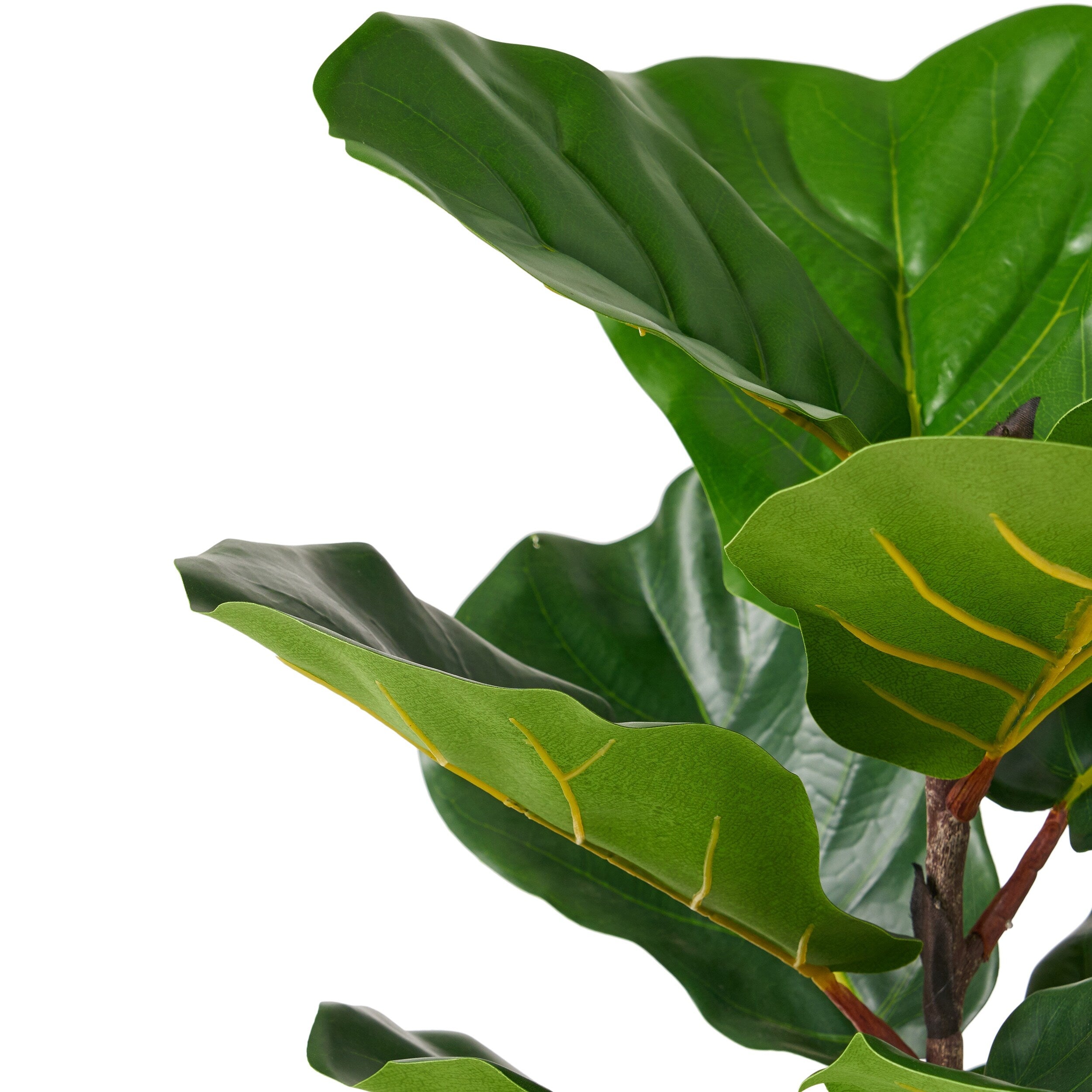 Socorro 4' x 1.5' Artificial Fiddle-Leaf Fig Tree by Christopher Knight Home