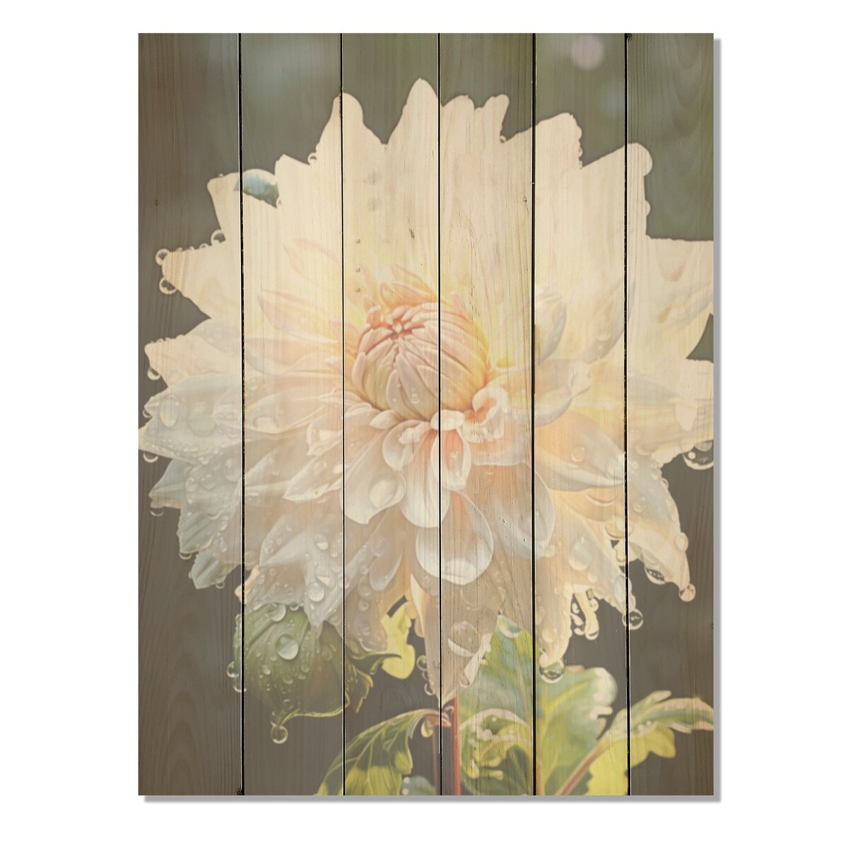 Designart A Dance Of White Dahlias Florescence Dahlia Wood Wall Decor - Traditional Wood Panel On Natural Pine Wood