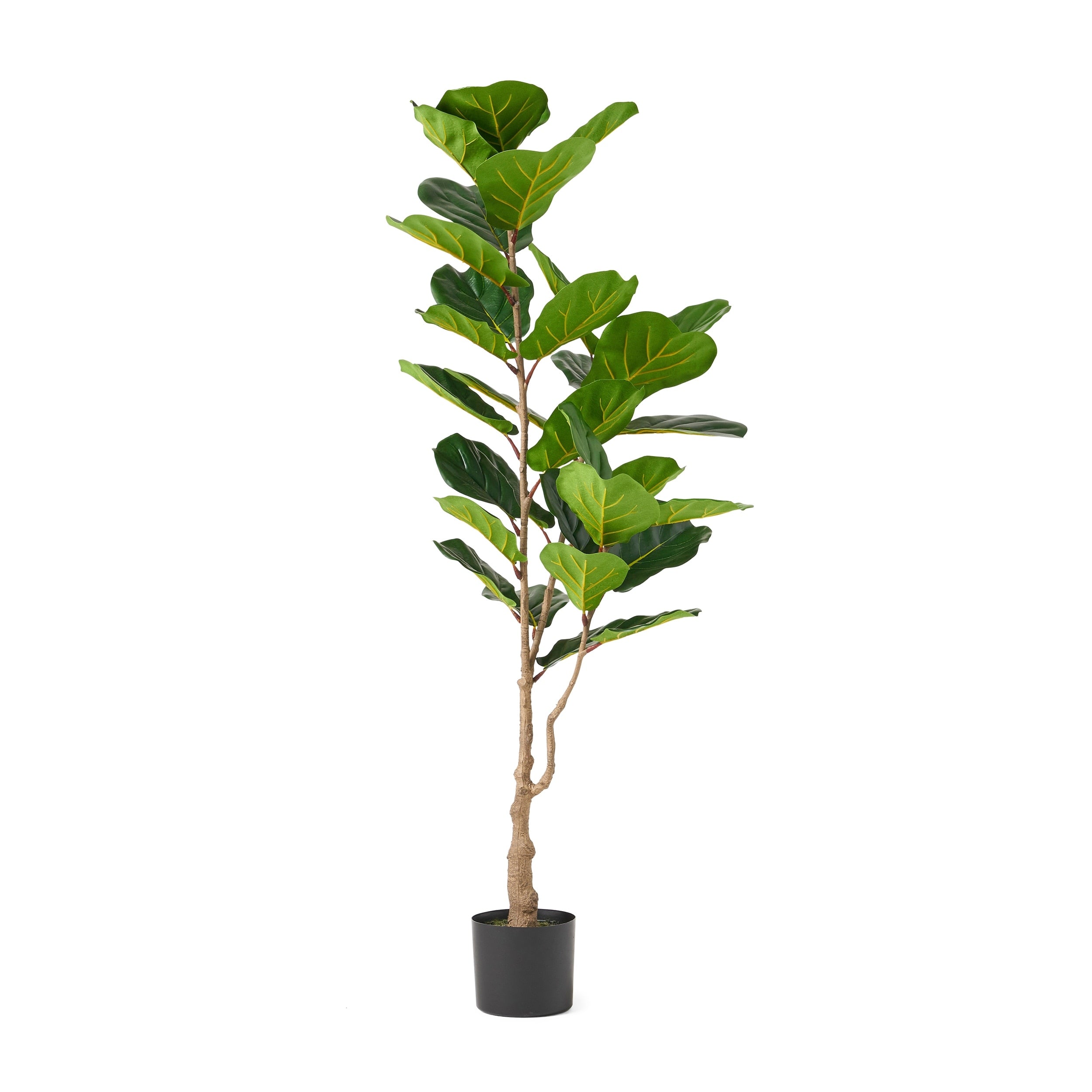 Socorro 4' x 1.5' Artificial Fiddle-Leaf Fig Tree by Christopher Knight Home