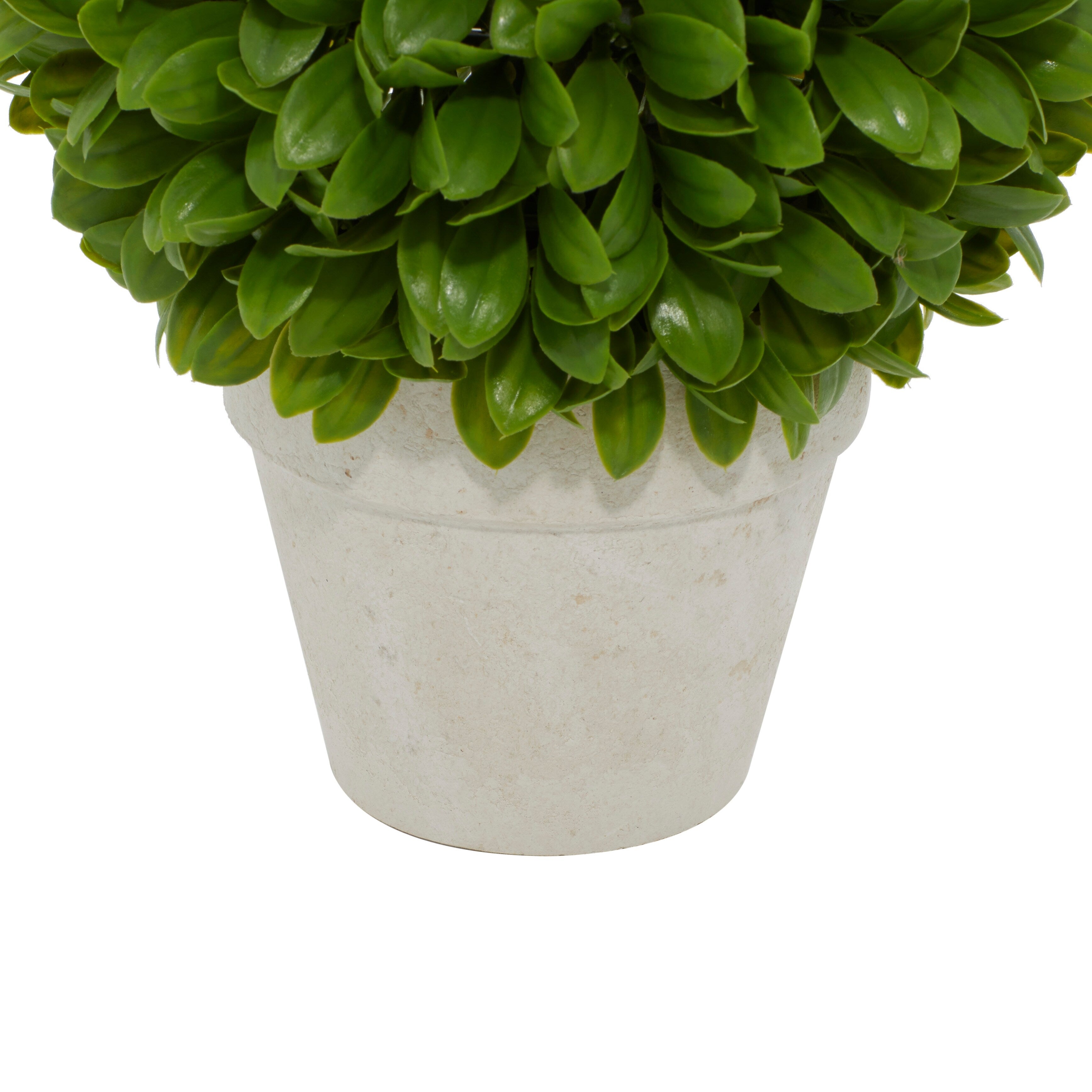 Contemporary Cream Colored Pot