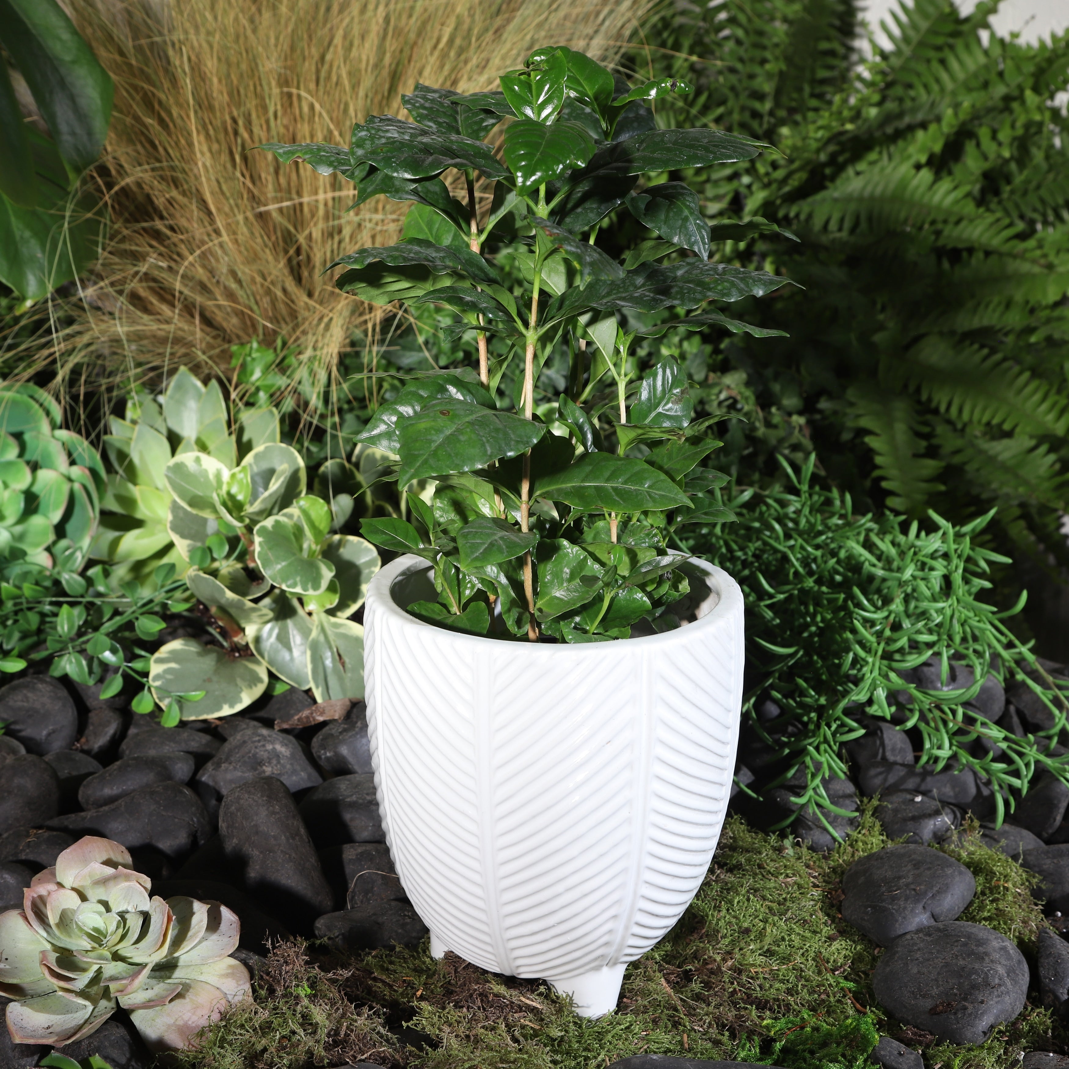 Sagebrook Home Porcelain Planter