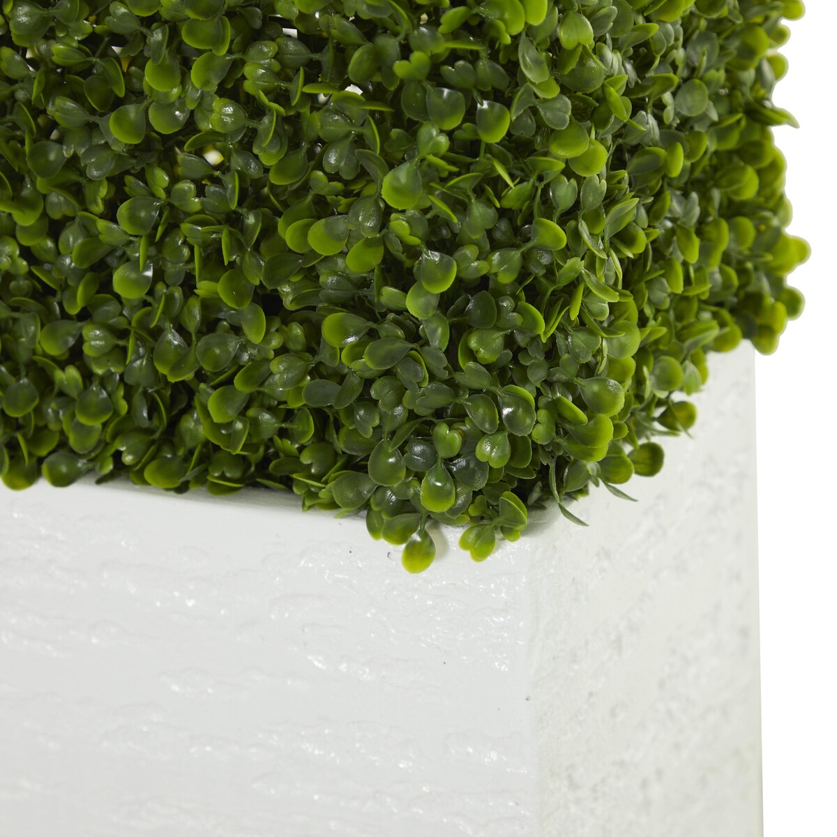 Faux Foliage Boxwood Hedge Tall Topiary with Realistic Leaves and Black or White Planter Box - Green - Roche River Decor