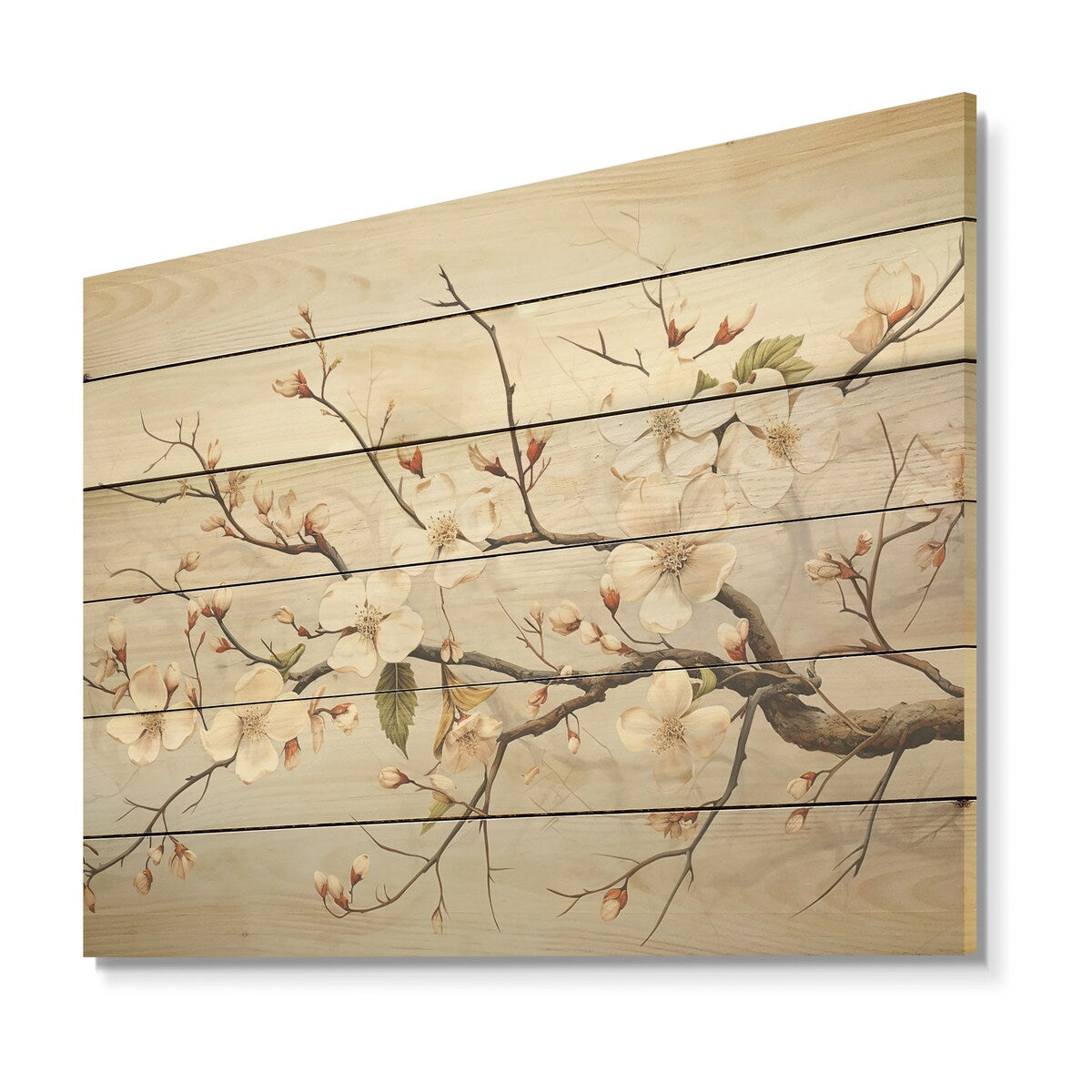 Designart White Dogwood Blossom Scenery Dogwood Wood Wall Decor - Traditional White Wood Panel On Natural Pine Wood