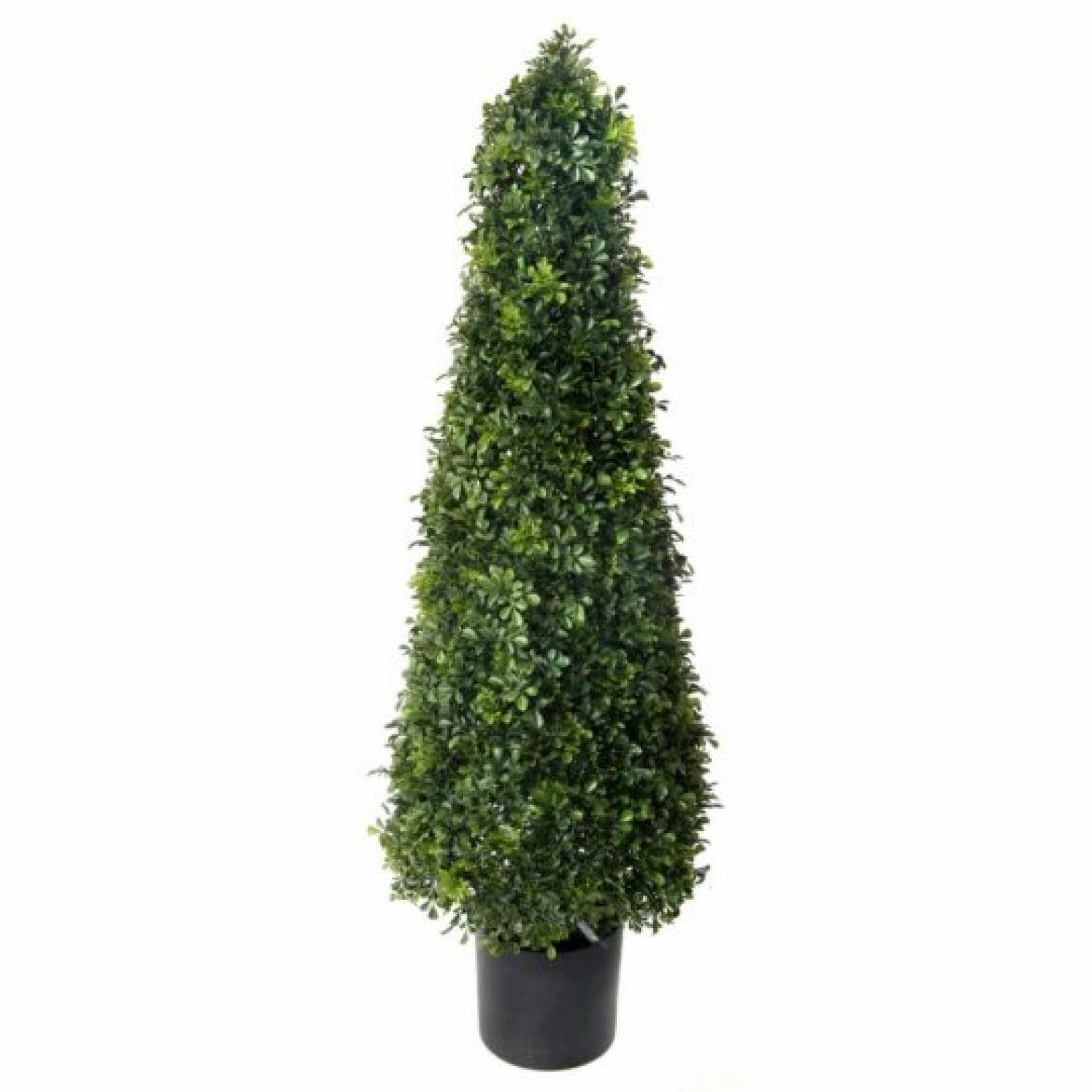 Potted English Boxwood Cone Shaped Topiary Faux Plants And Trees