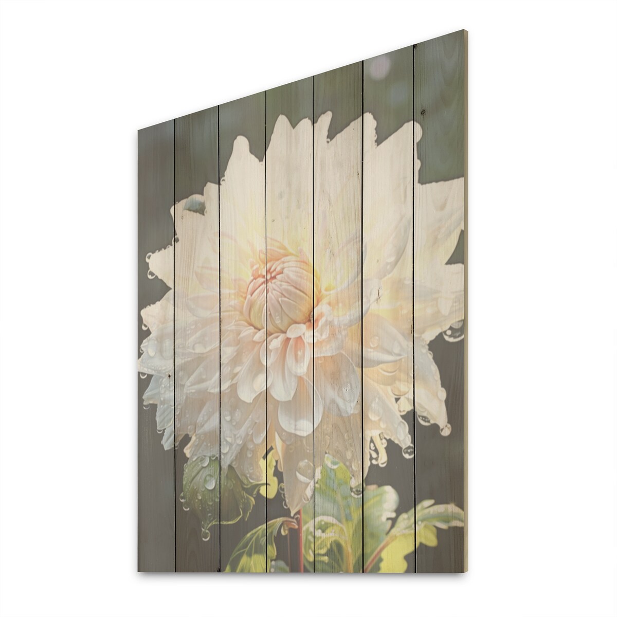 Designart A Dance Of White Dahlias Florescence Dahlia Wood Wall Decor - Traditional Wood Panel On Natural Pine Wood