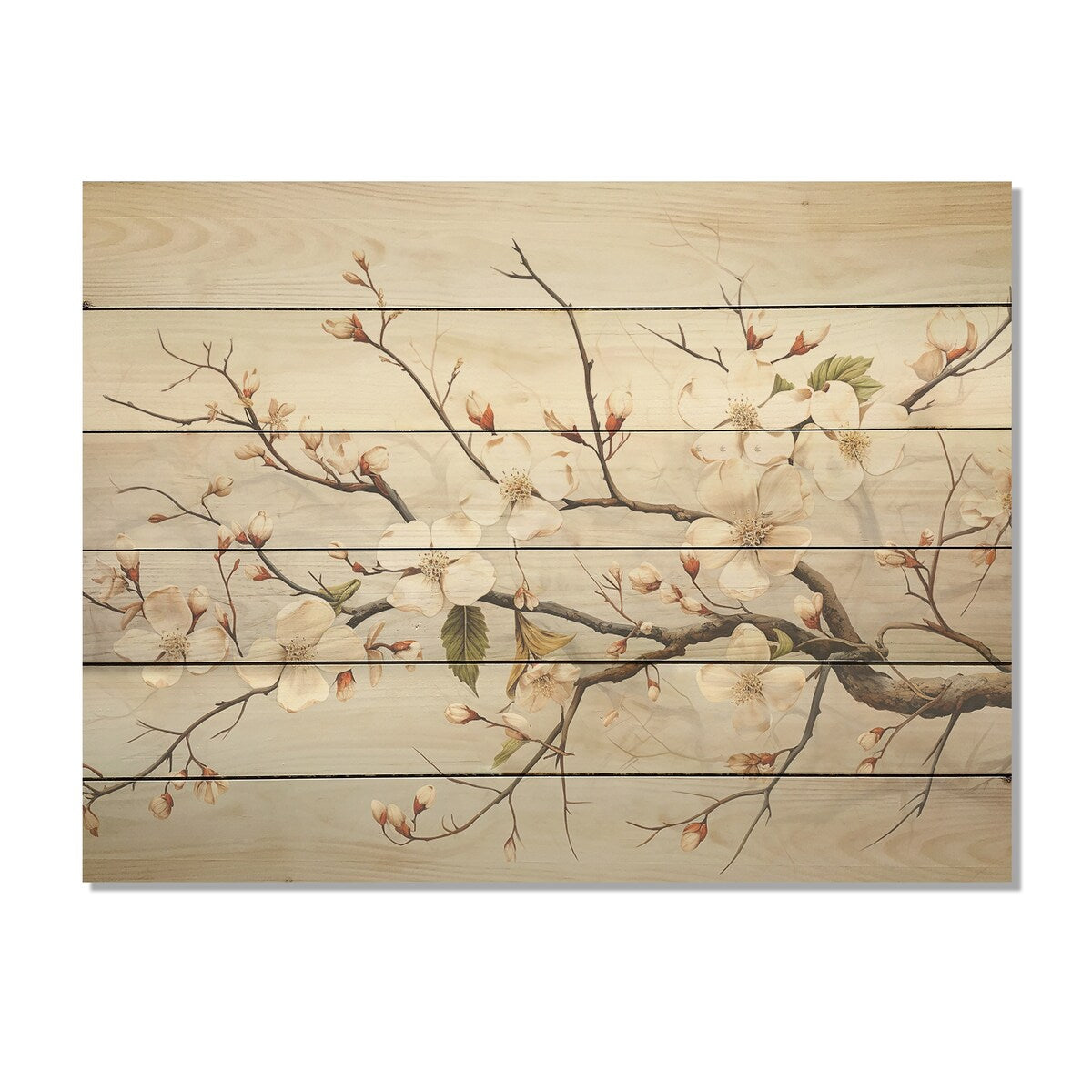 Designart White Dogwood Blossom Scenery Dogwood Wood Wall Decor - Traditional White Wood Panel On Natural Pine Wood