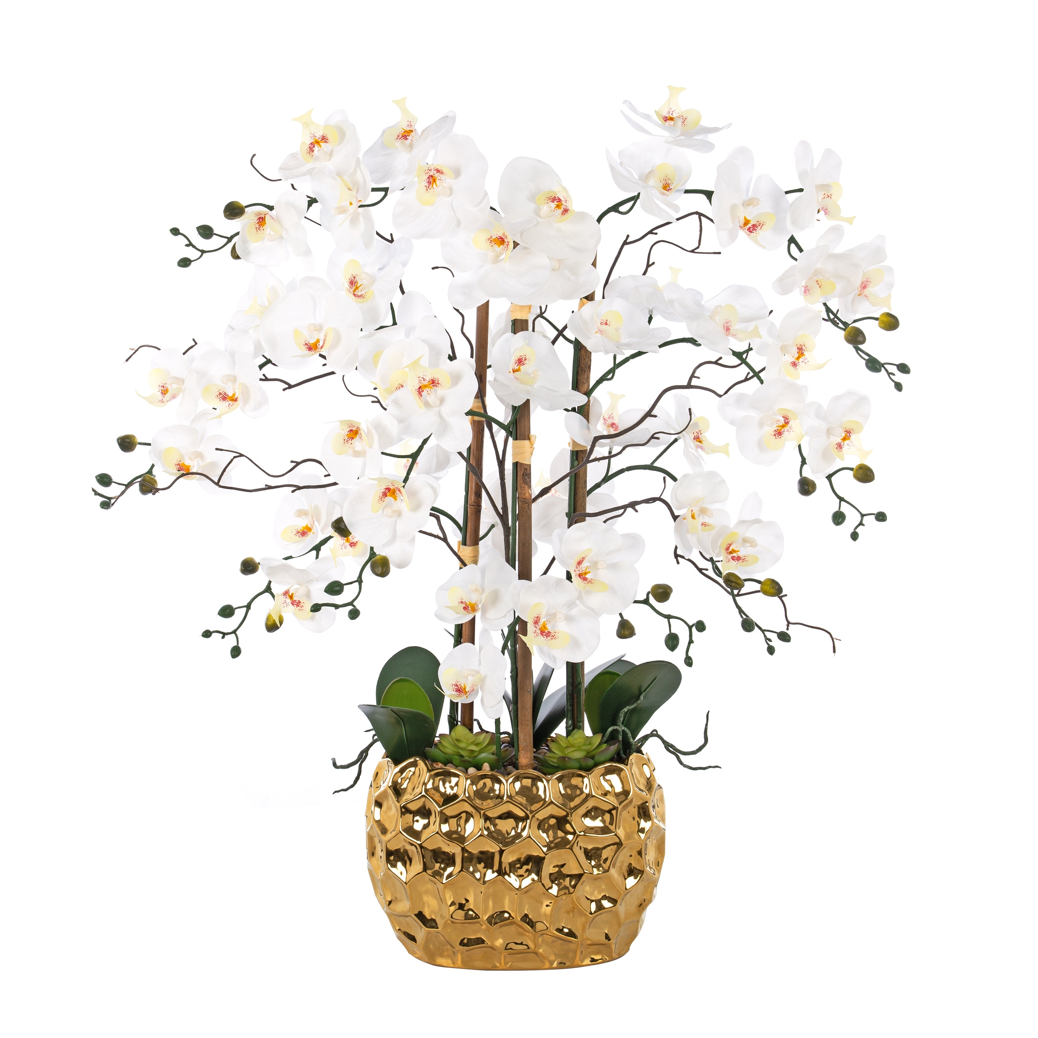 8 Stems Real Touch Phalaenopsis Plastic Orchids with Succulents in White Ceramic Pot - 35.43 H x 31.5 W x 31.5  D