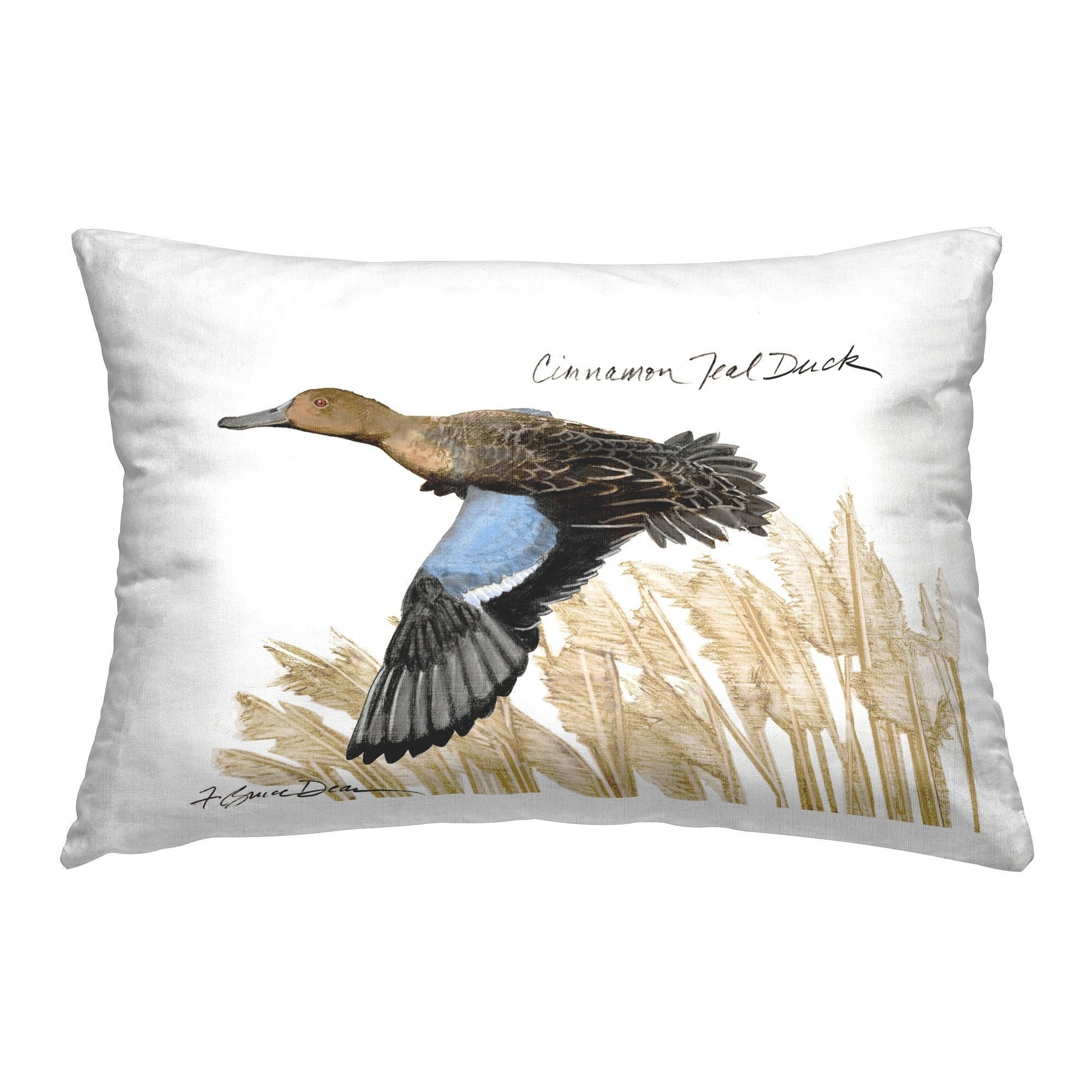 Stupell Cinnamon Teal Duck Decorative Printed Throw Pillow Design by Jadei Graphics