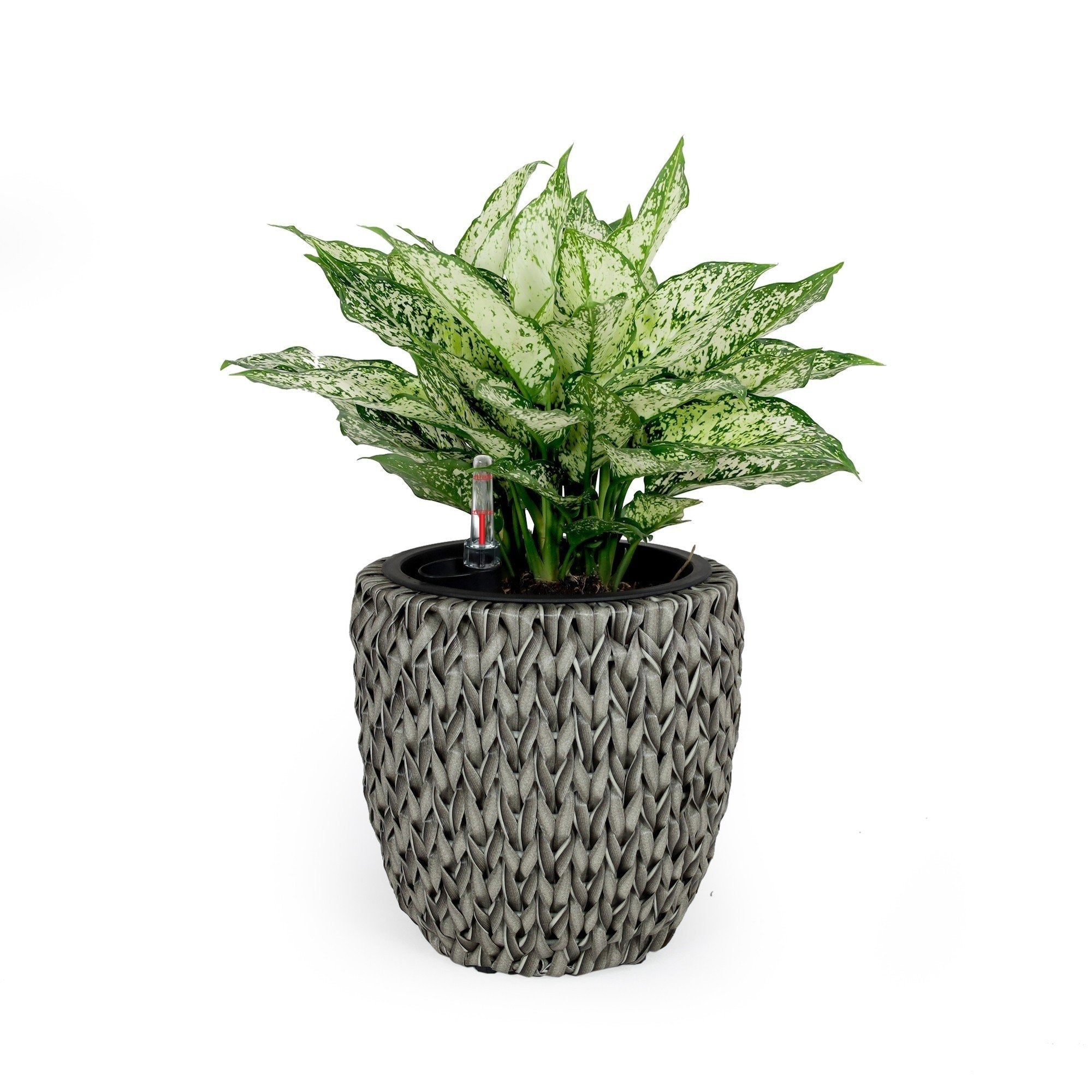 DTY Signature Self-watering Wicker Planter - Garden Decoration Pot