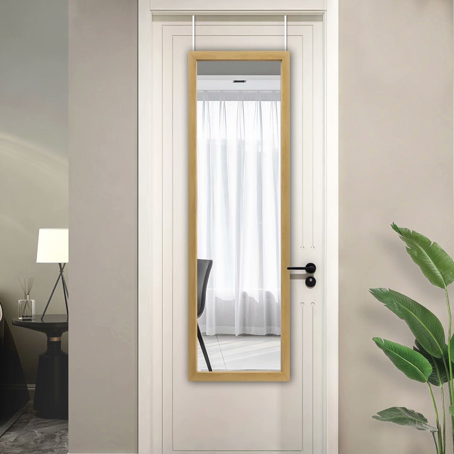 Modern Full-length Rectangular Wall-Mounted Hanging Door Mirror