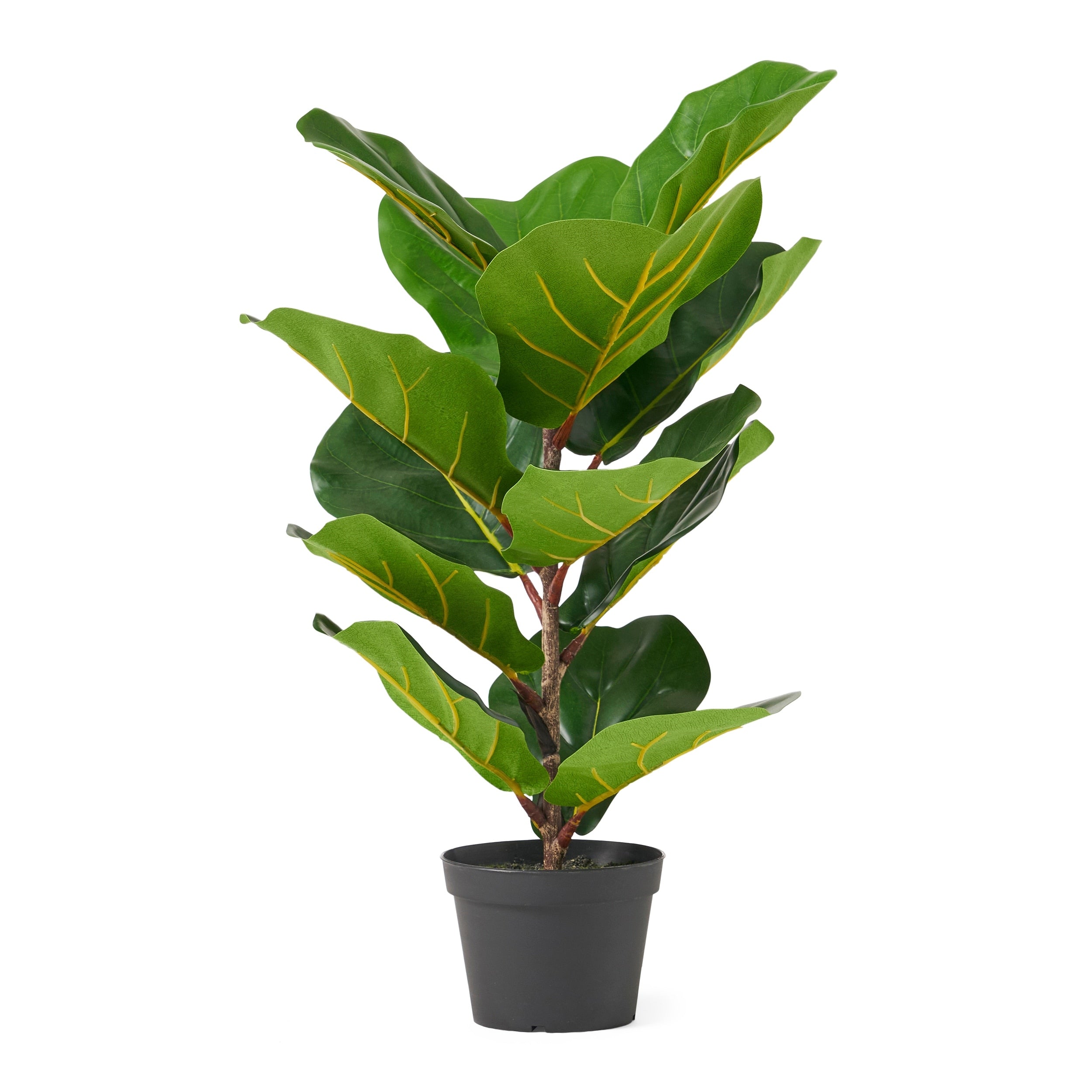 Socorro 4' x 1.5' Artificial Fiddle-Leaf Fig Tree by Christopher Knight Home