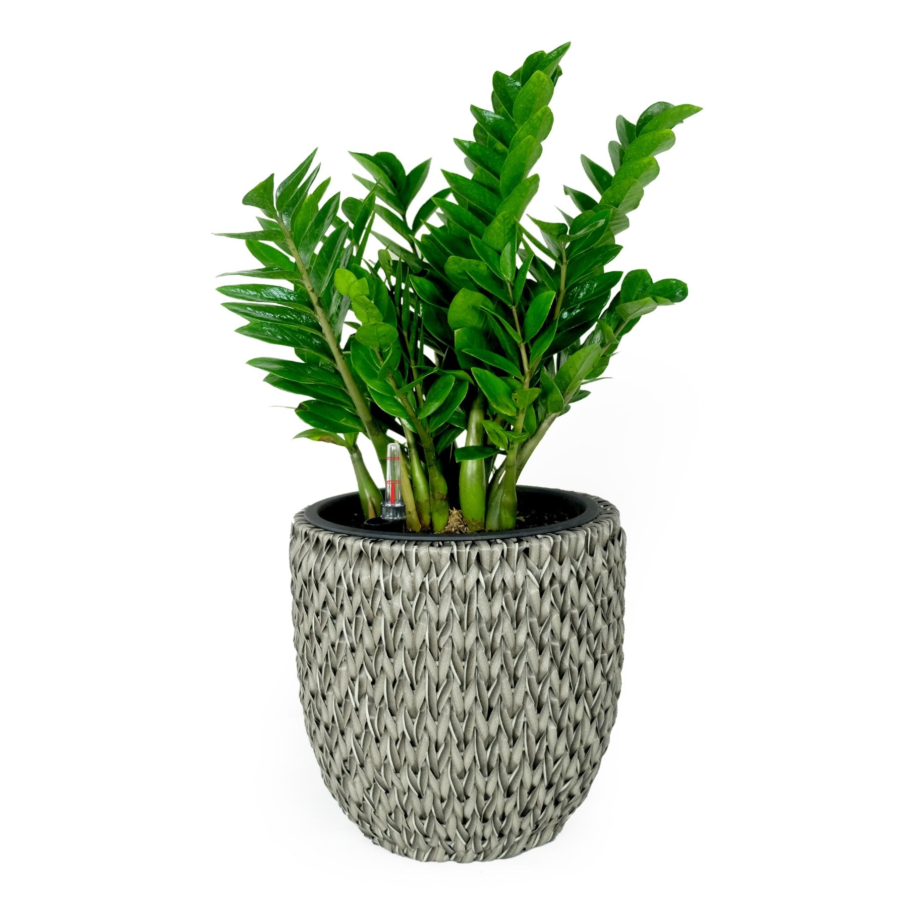 DTY Signature Self-watering Wicker Planter - Garden Decoration Pot