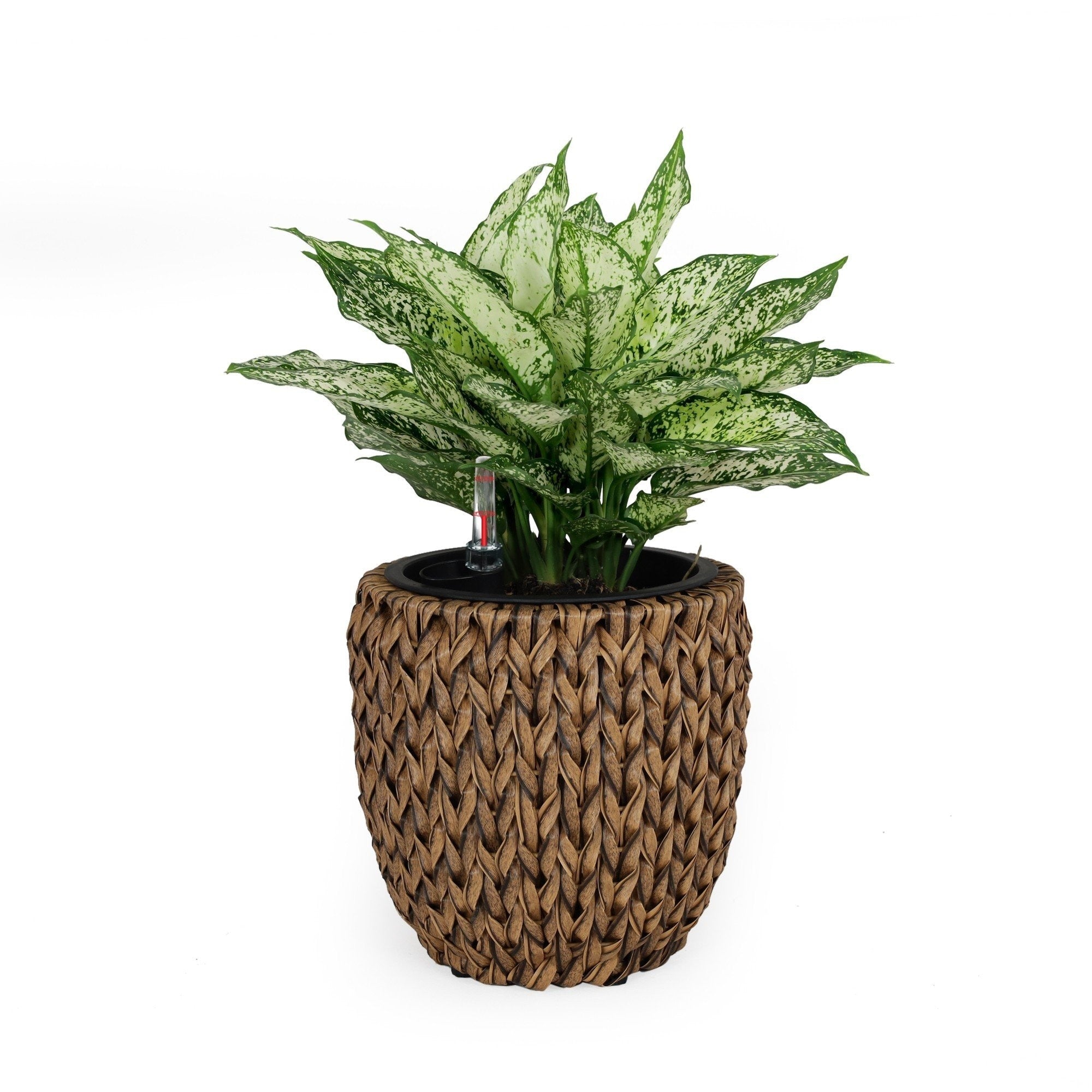 DTY Signature Self-watering Wicker Planter - Garden Decoration Pot