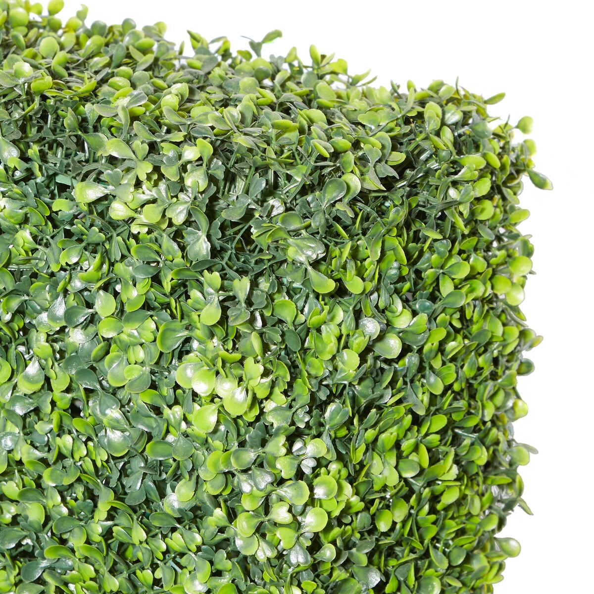 Faux Foliage Boxwood Hedge Tall Topiary with Realistic Leaves and Black or White Planter Box - Green - Roche River Decor