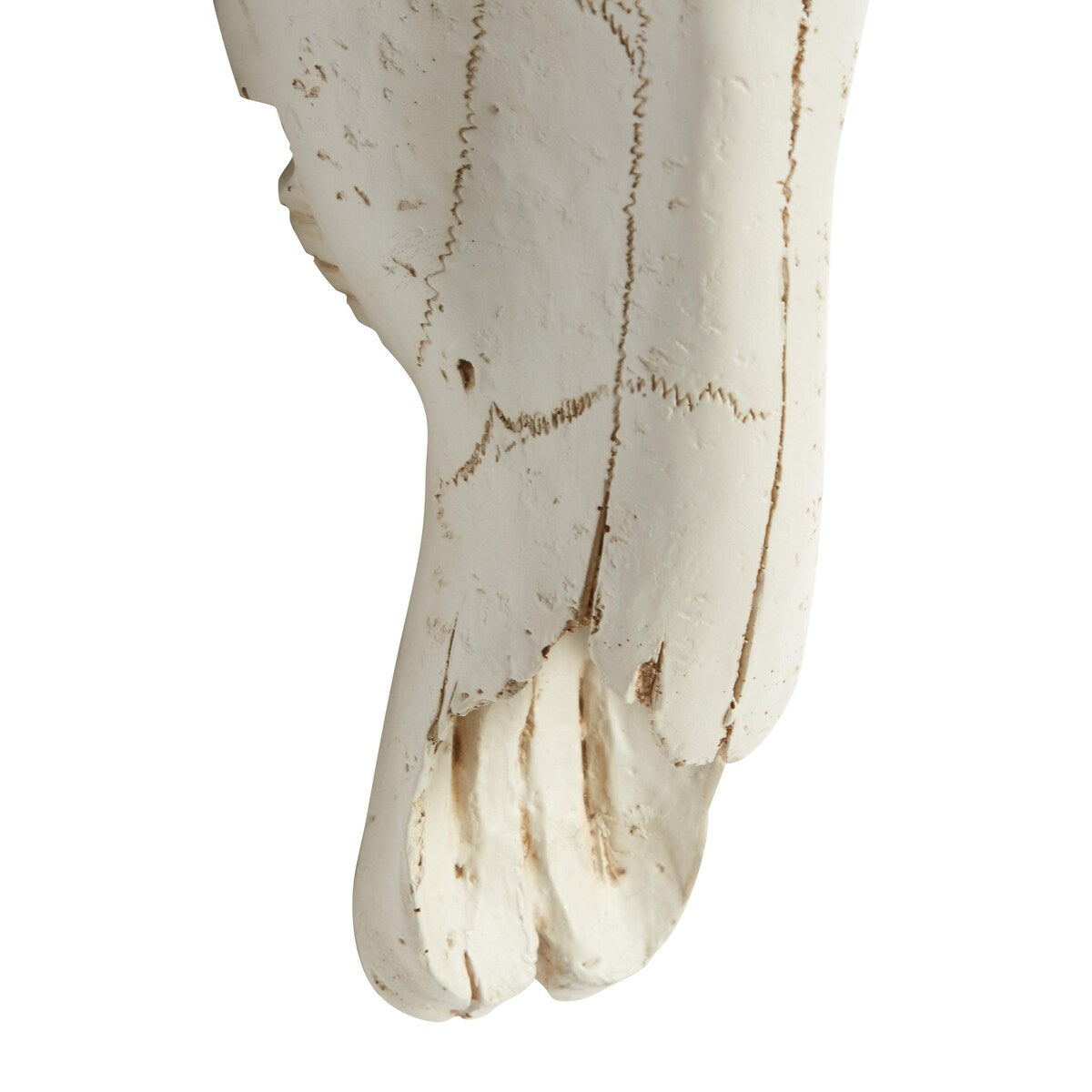 Polystone Cow Skull Home Wall Decor - White - Roche River Decor