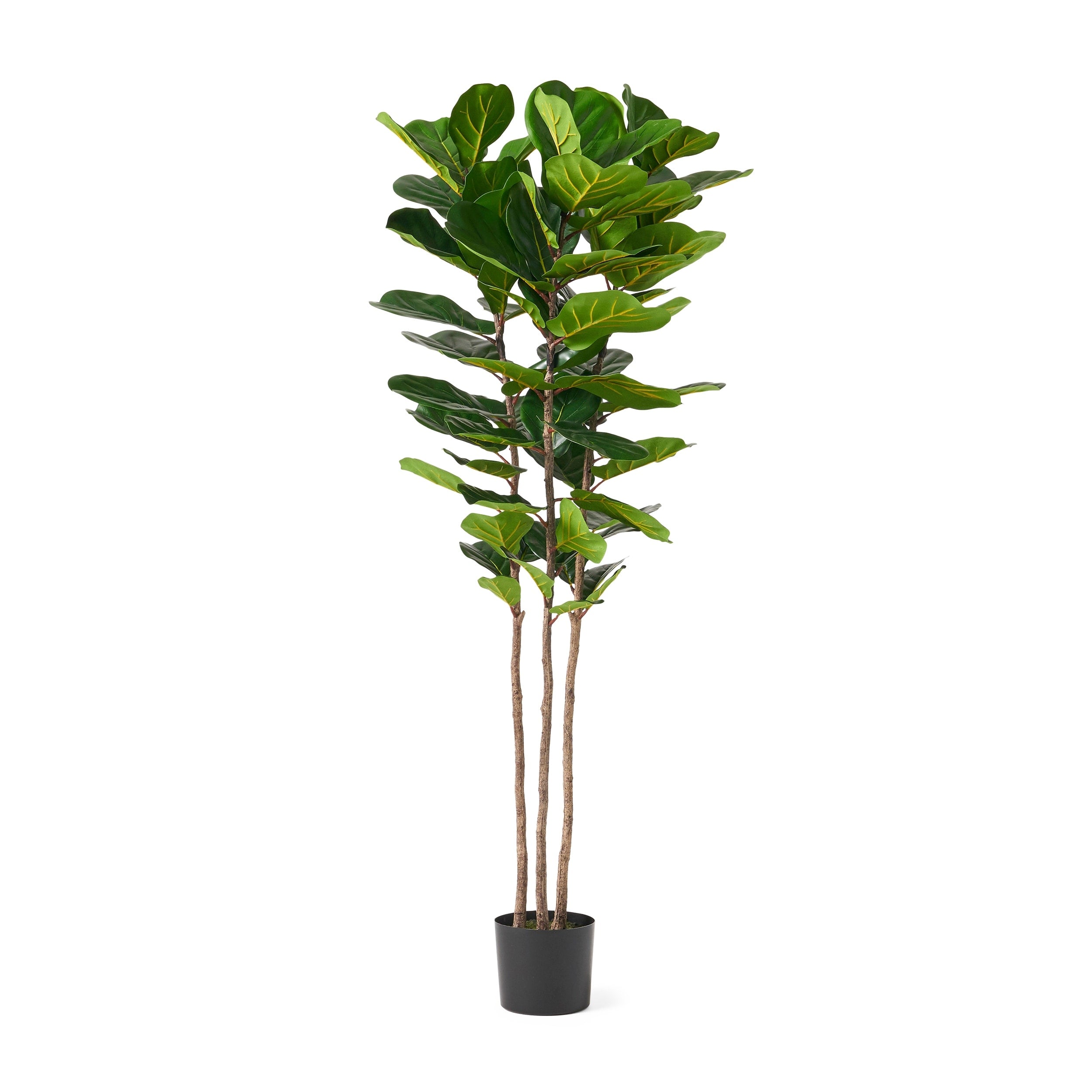 Socorro 4' x 1.5' Artificial Fiddle-Leaf Fig Tree by Christopher Knight Home