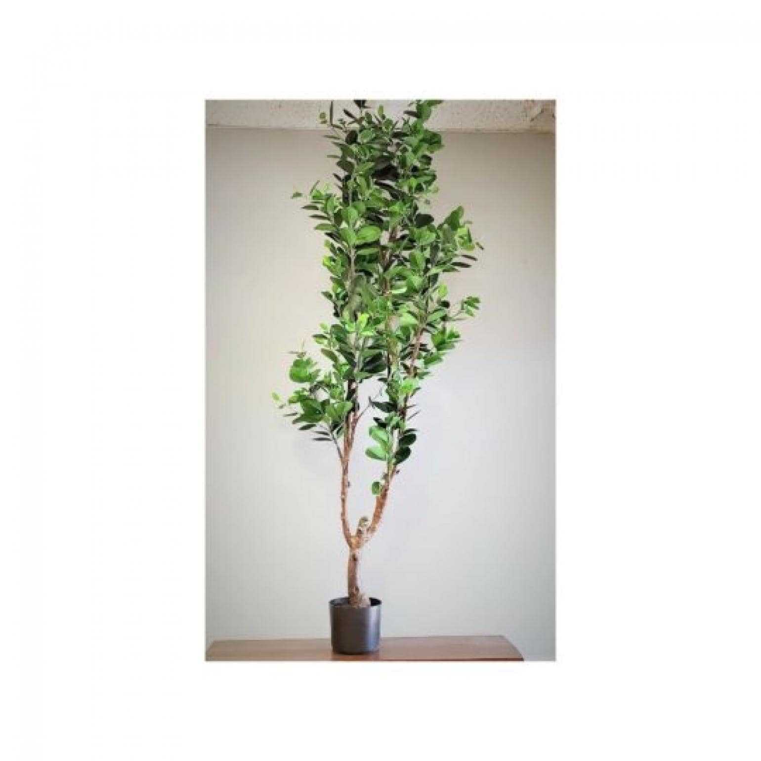 Potted East Ficus Tree Faux Plants And Trees