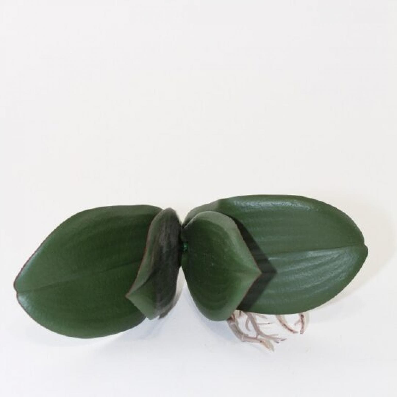 Green Orchid Leaves With Root Faux Plants And Trees