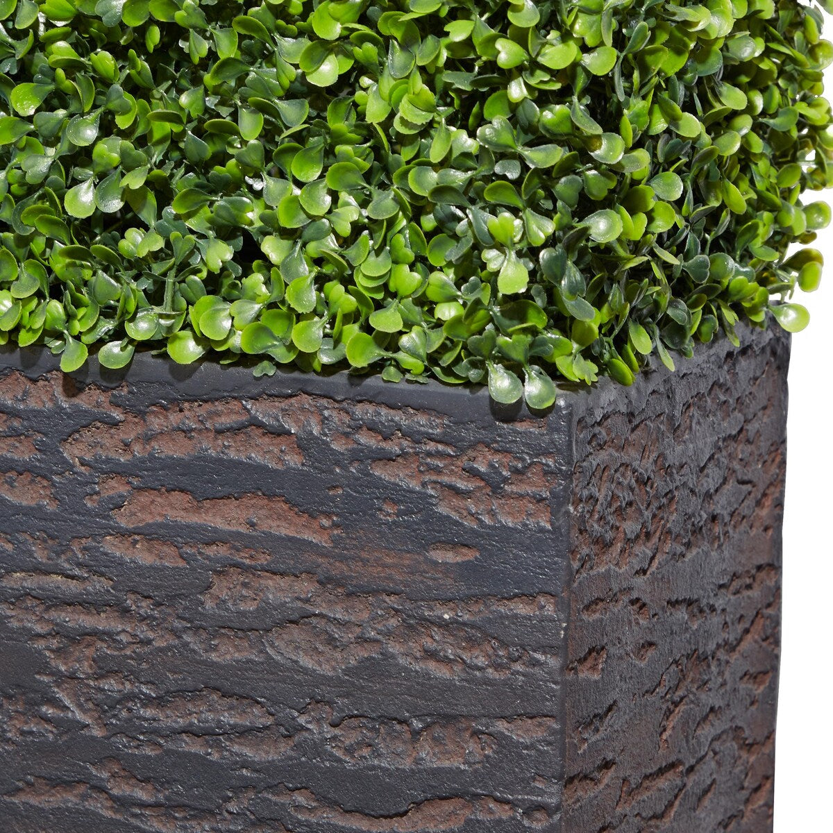 Faux Foliage Boxwood Hedge Tall Topiary with Realistic Leaves and Black or White Planter Box - Green - Roche River Decor