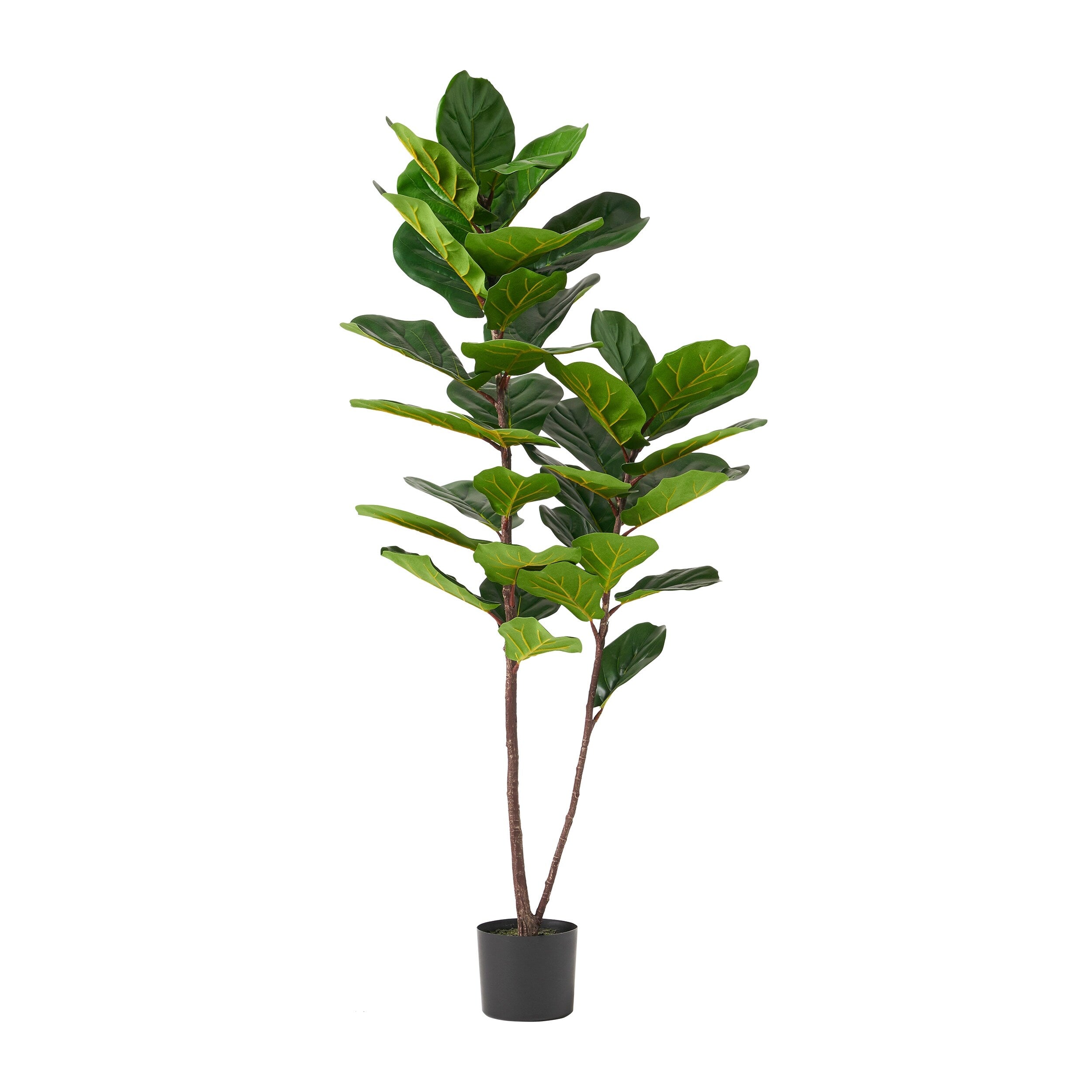 Socorro 4' x 1.5' Artificial Fiddle-Leaf Fig Tree by Christopher Knight Home