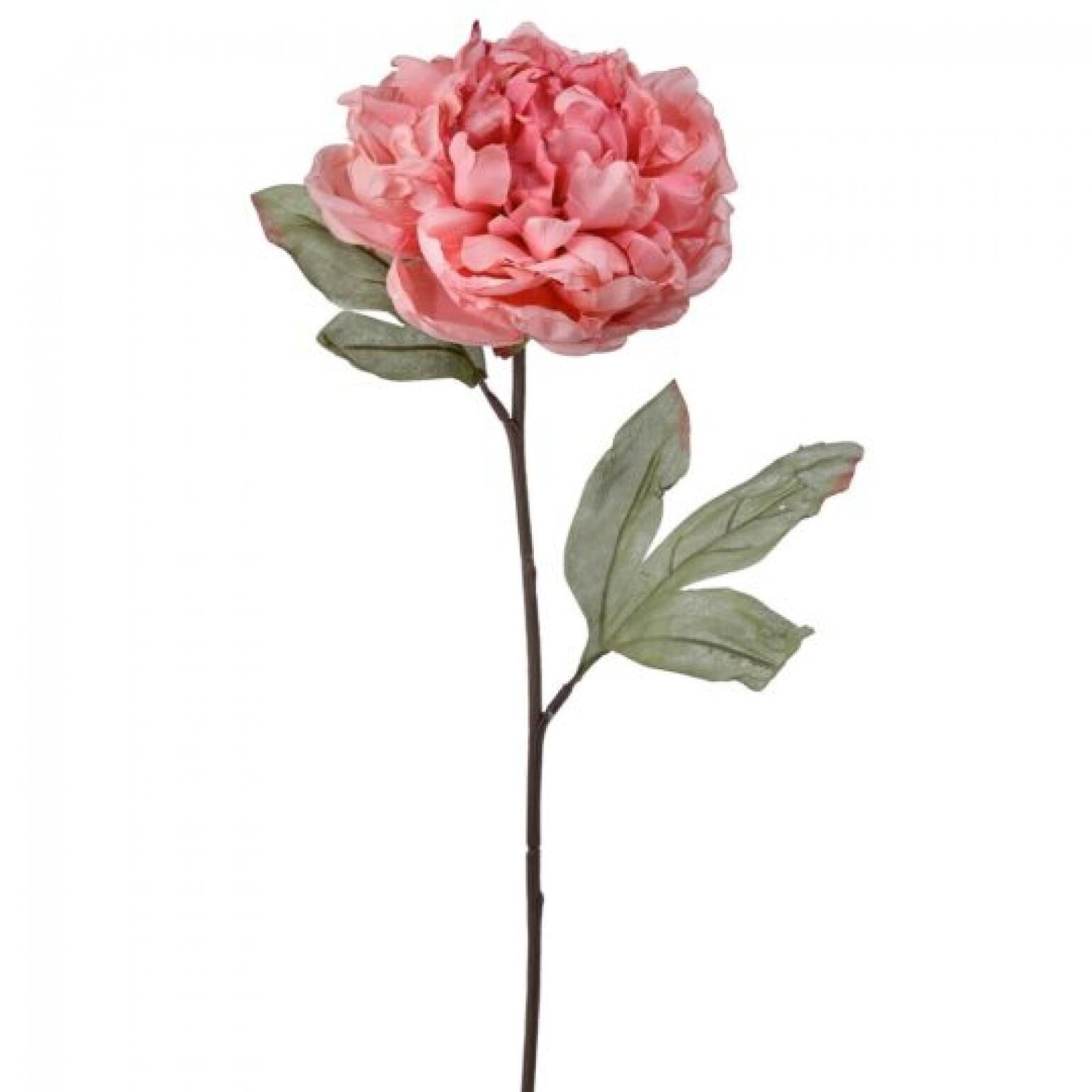 Pink Dried Look Parisian Peony Stem Artificial Flower