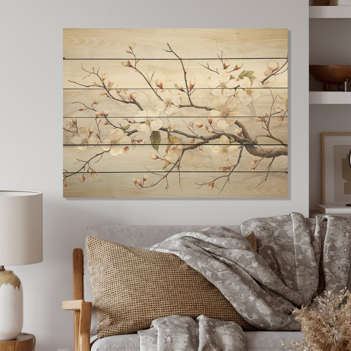 Designart White Dogwood Blossom Scenery Dogwood Wood Wall Decor - Traditional White Wood Panel On Natural Pine Wood