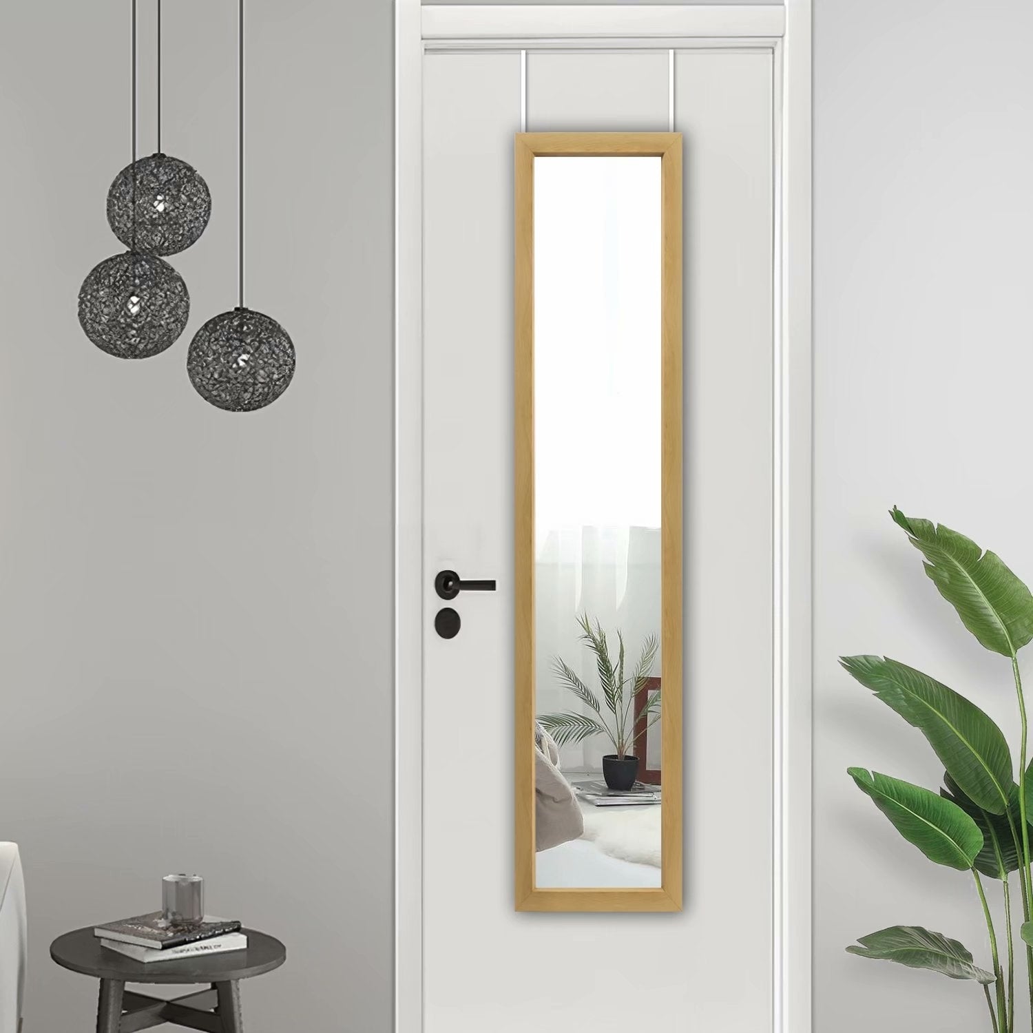 Modern Full-length Rectangular Wall-Mounted Hanging Door Mirror