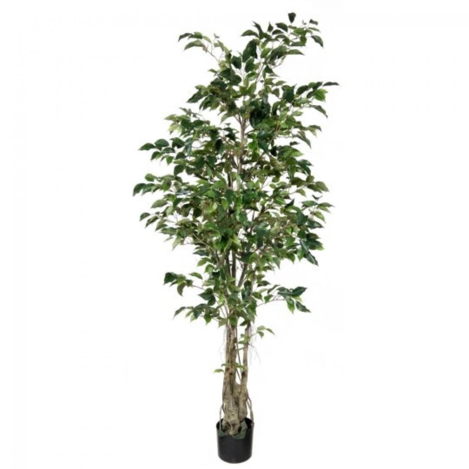 Potted Ficus Tree Faux Plants And Trees