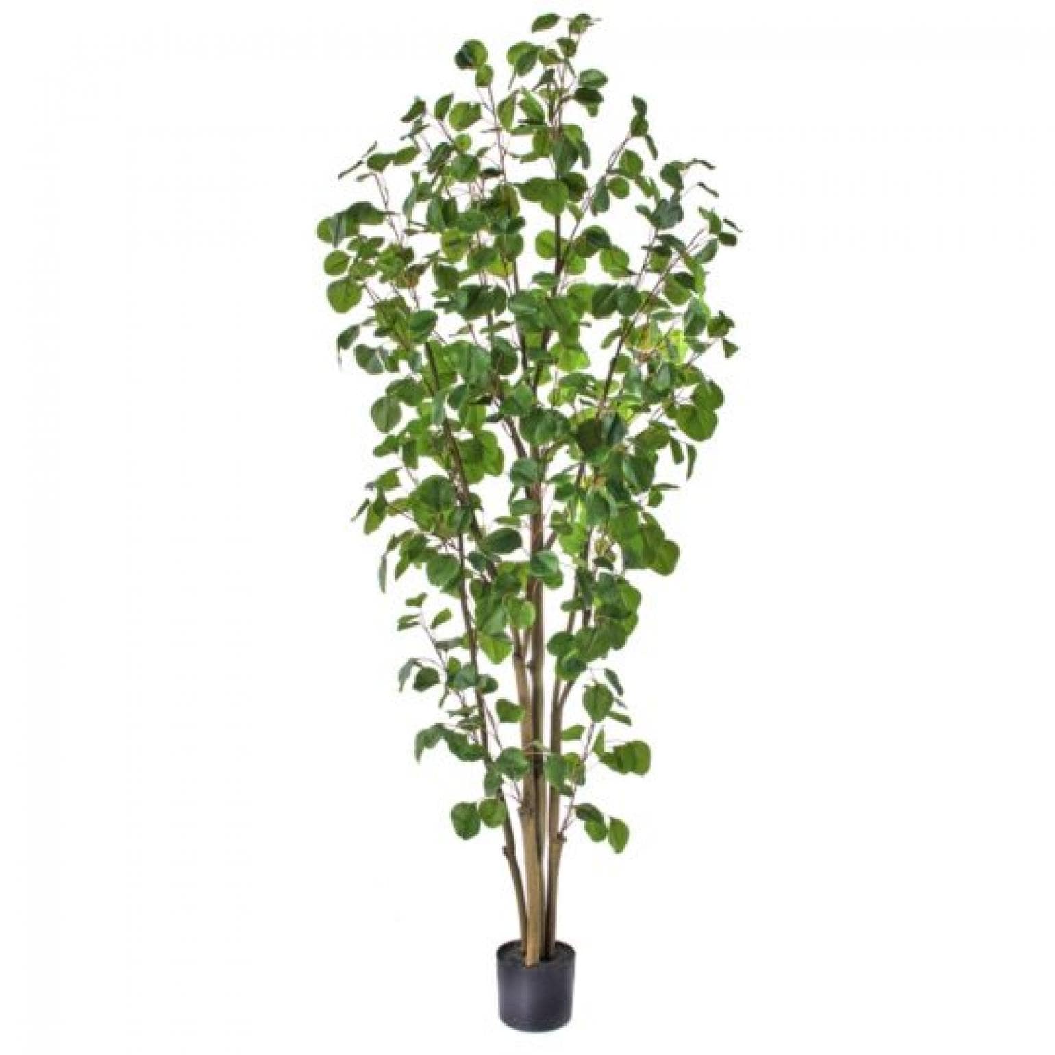 Potted Silver Dollar Eucalyptus Tree Faux Plants And Trees