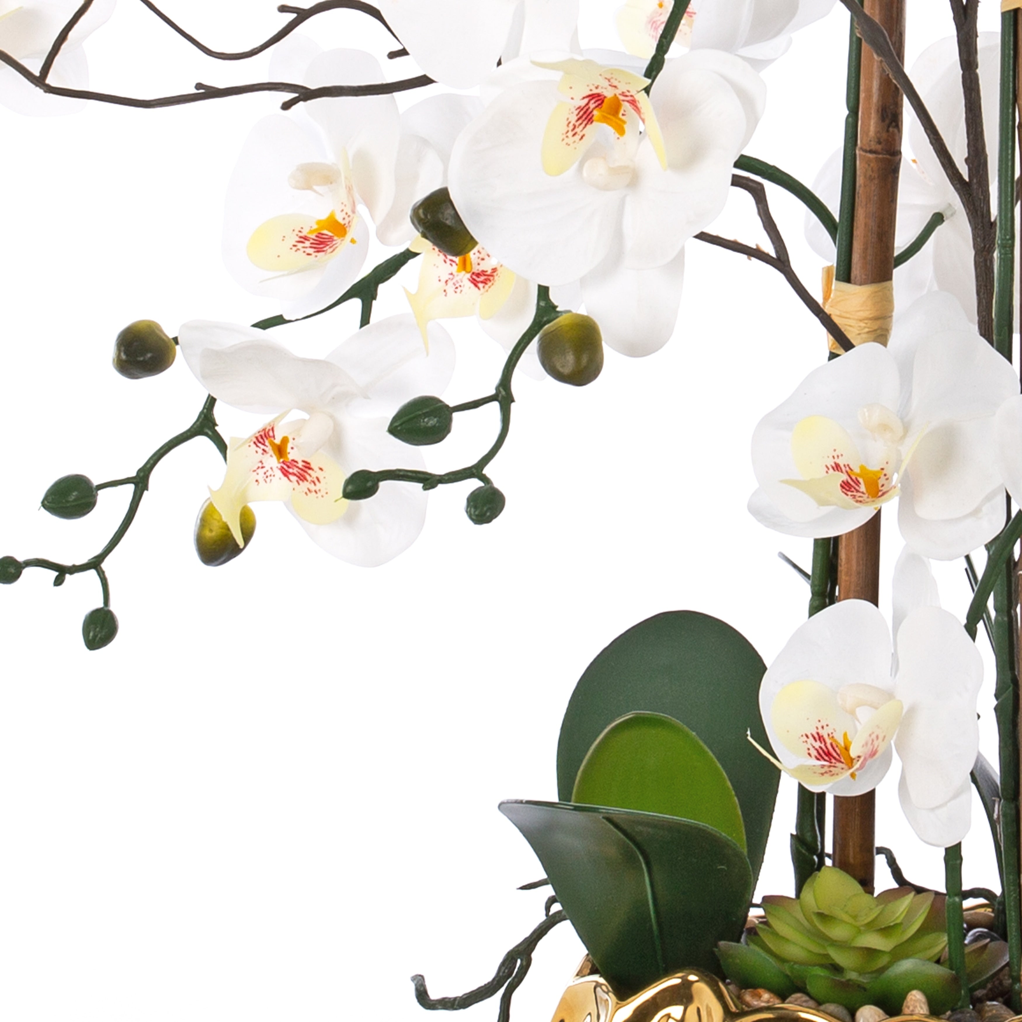 8 Stems Real Touch Phalaenopsis Plastic Orchids with Succulents in White Ceramic Pot - 35.43 H x 31.5 W x 31.5  D