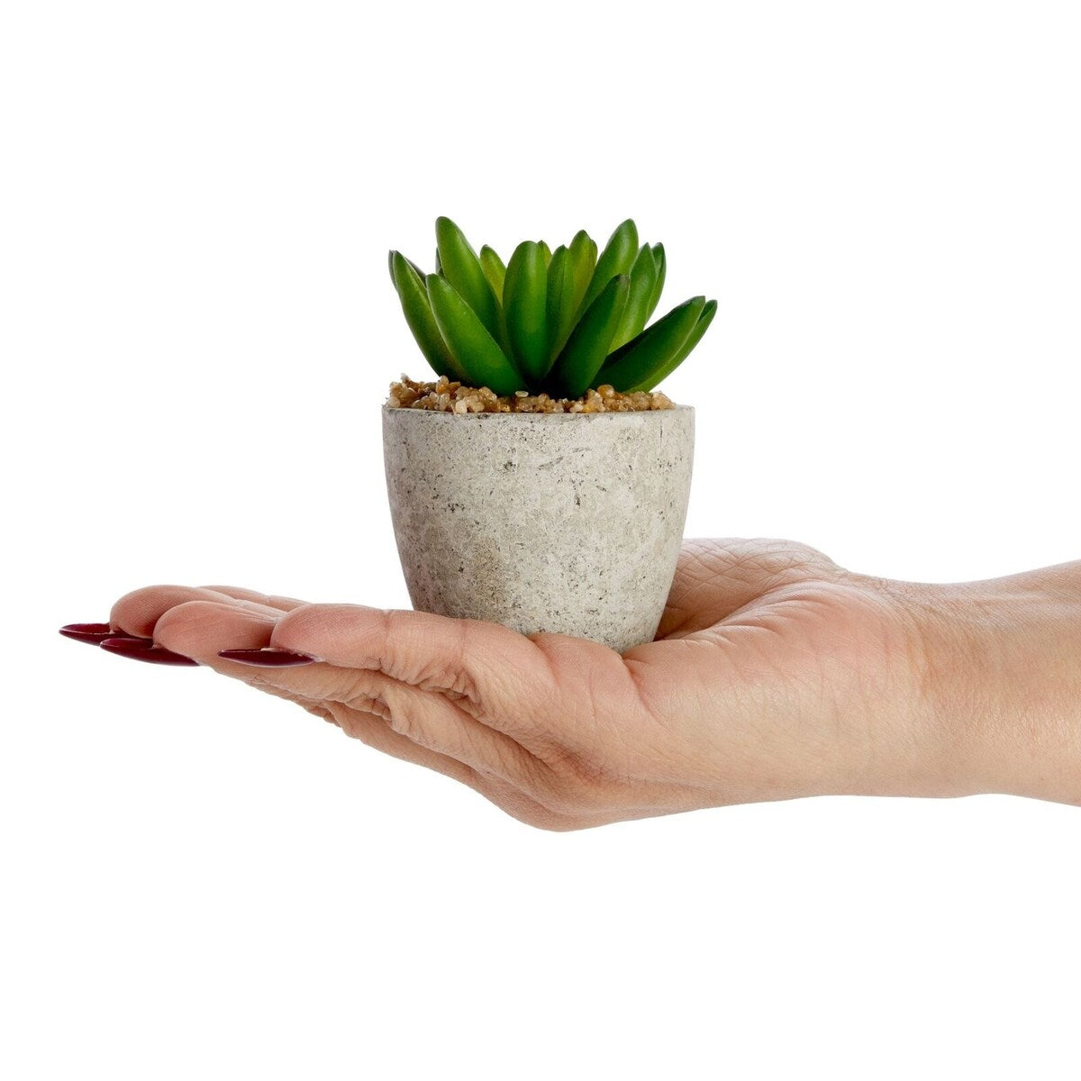 6-Pack Artificial Succulent Plant Pots Faux Mini Cactus