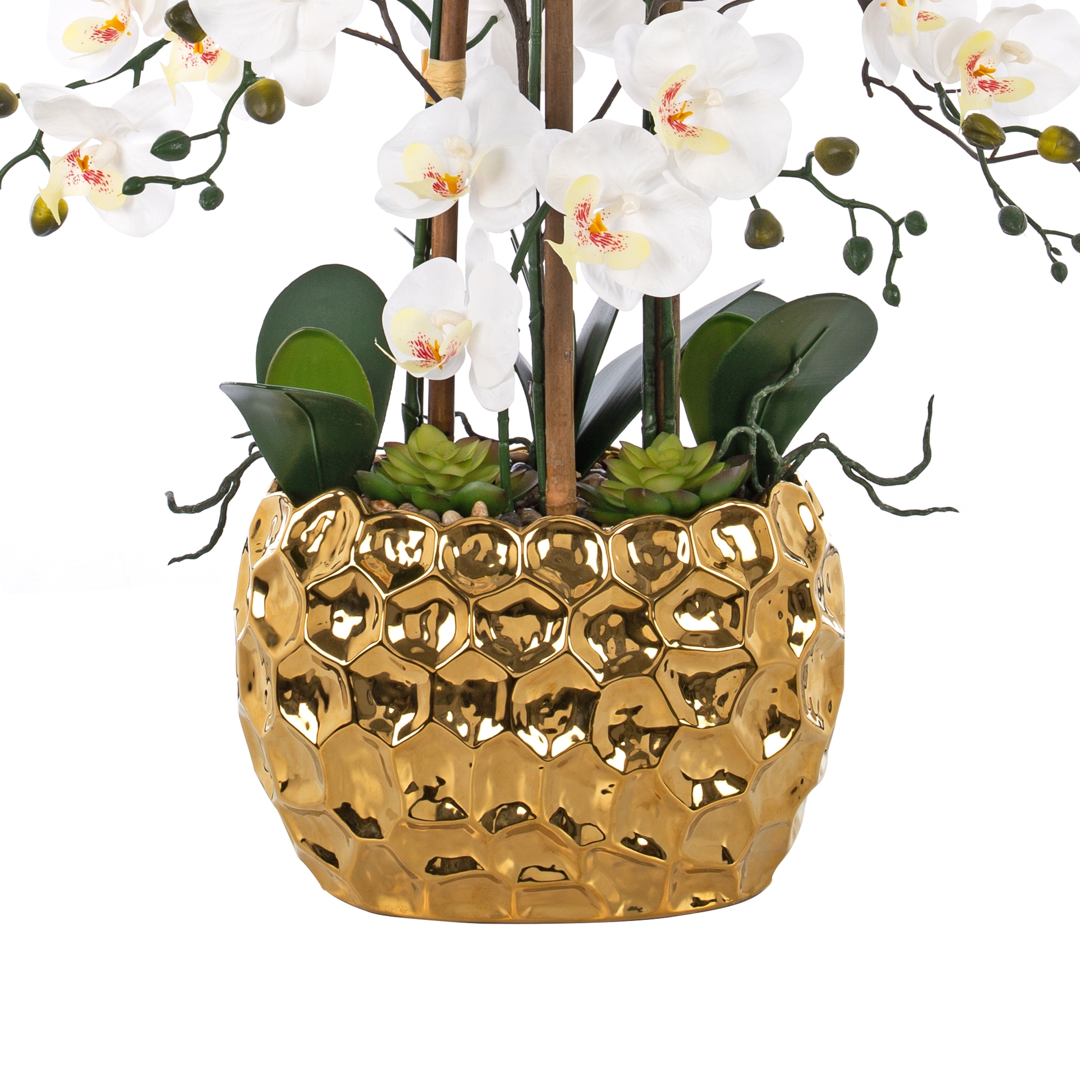 8 Stems Real Touch Phalaenopsis Plastic Orchids with Succulents in White Ceramic Pot - 35.43 H x 31.5 W x 31.5  D