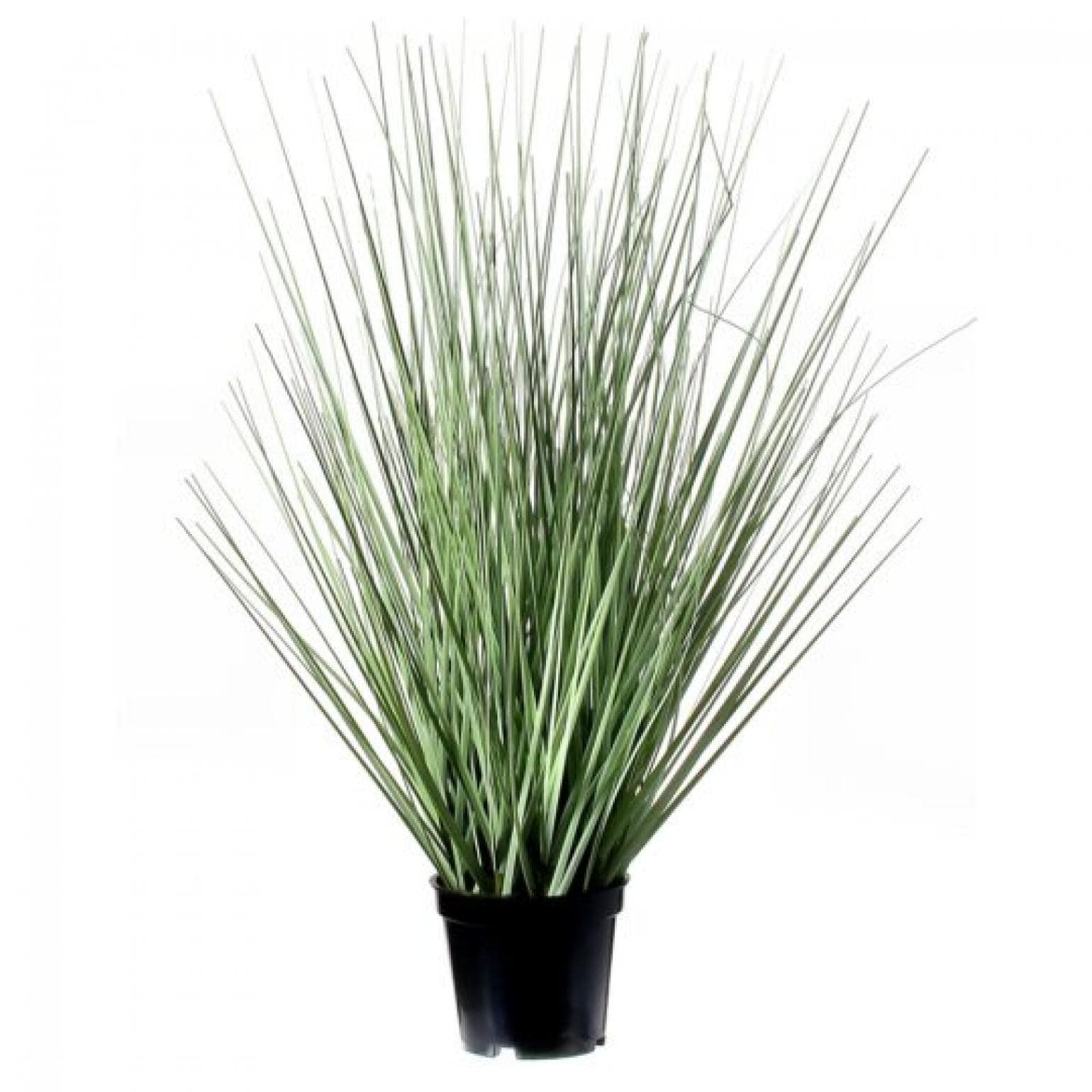 Potted Herb Grass Faux Plants And Trees